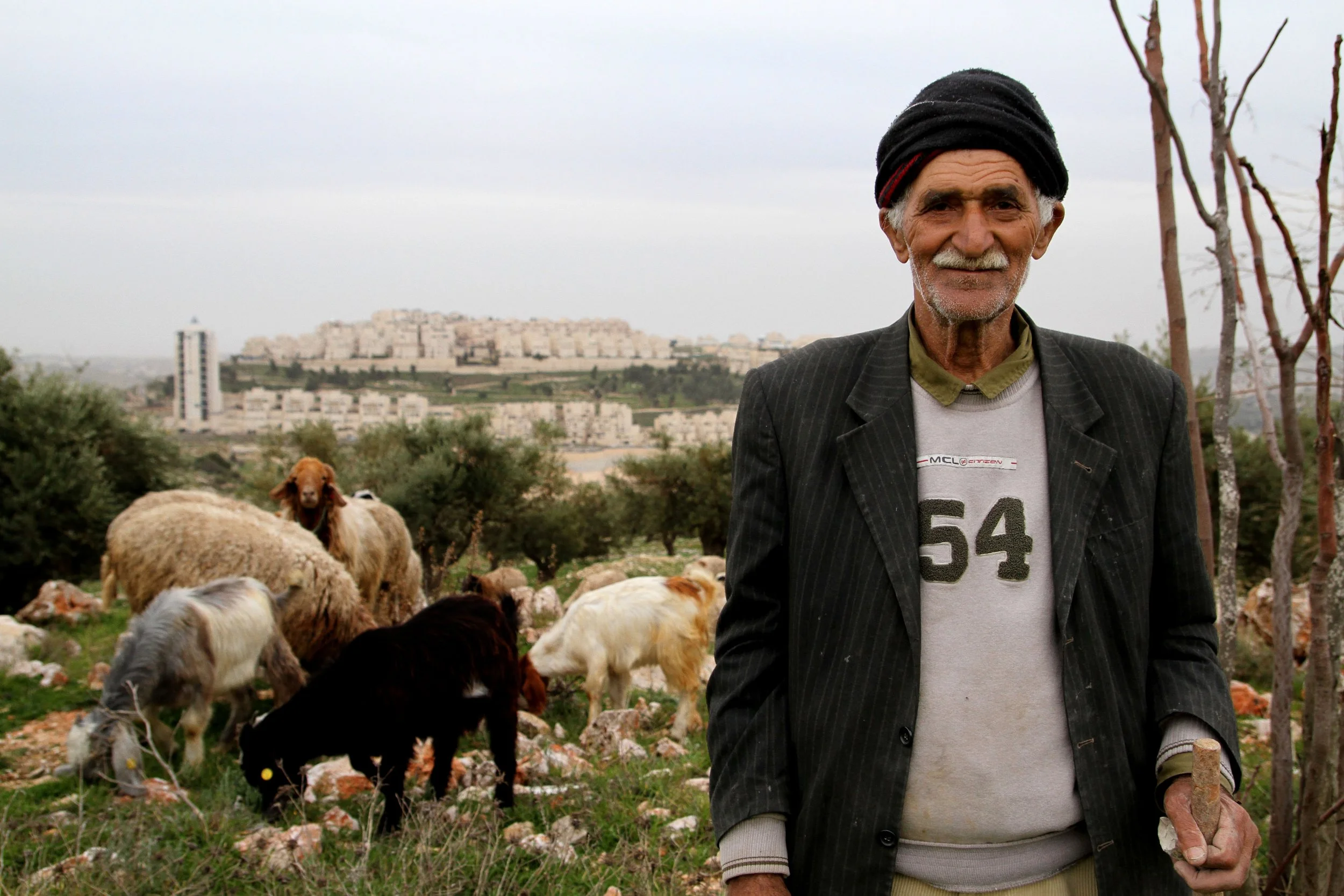 israel_bedouin_bethlehem.jpg