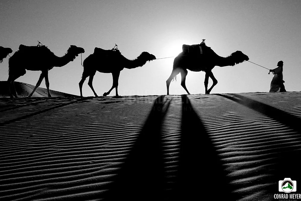 camelDUNES__FB.jpg