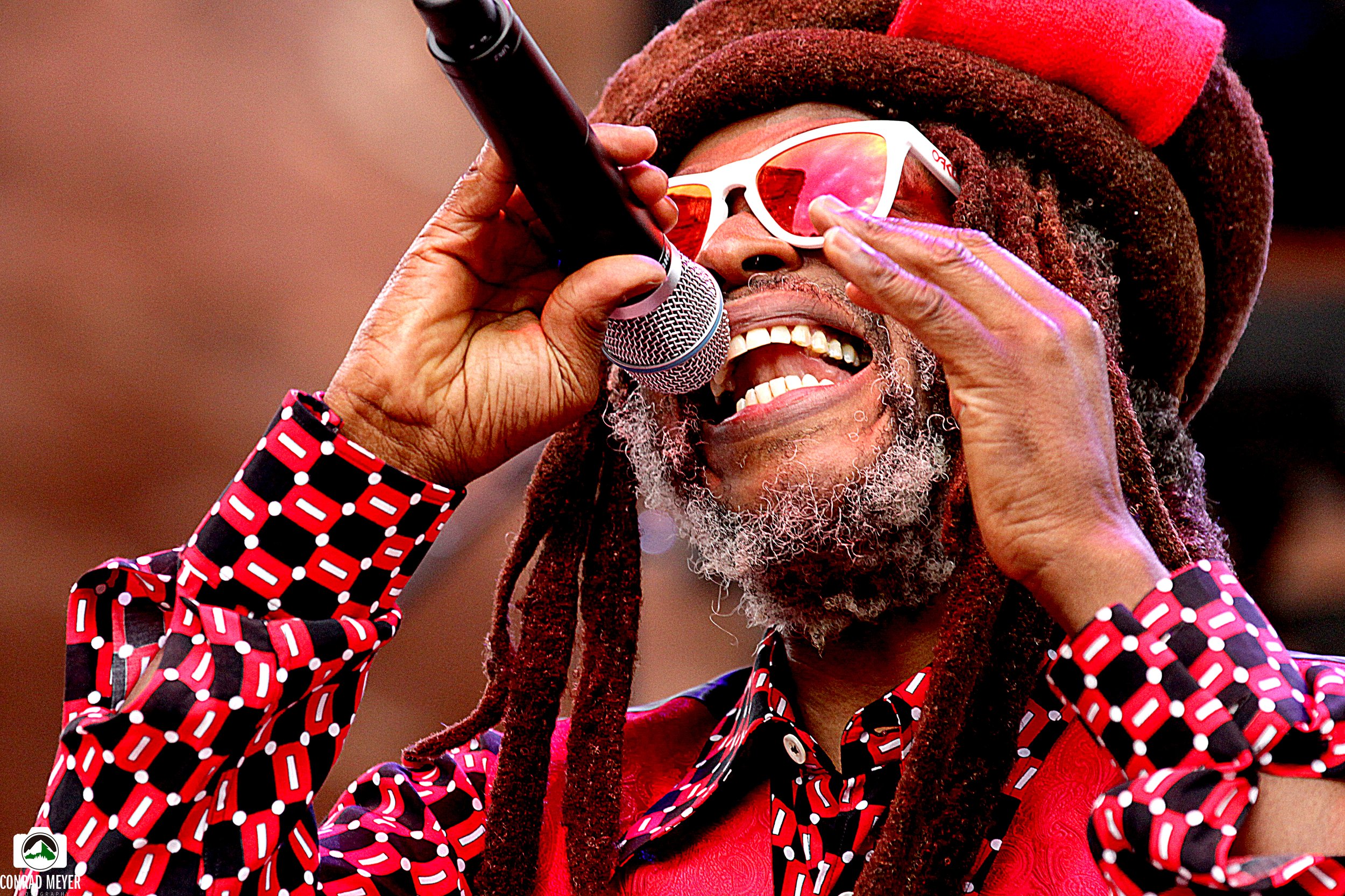 steelPULSE14.jpg