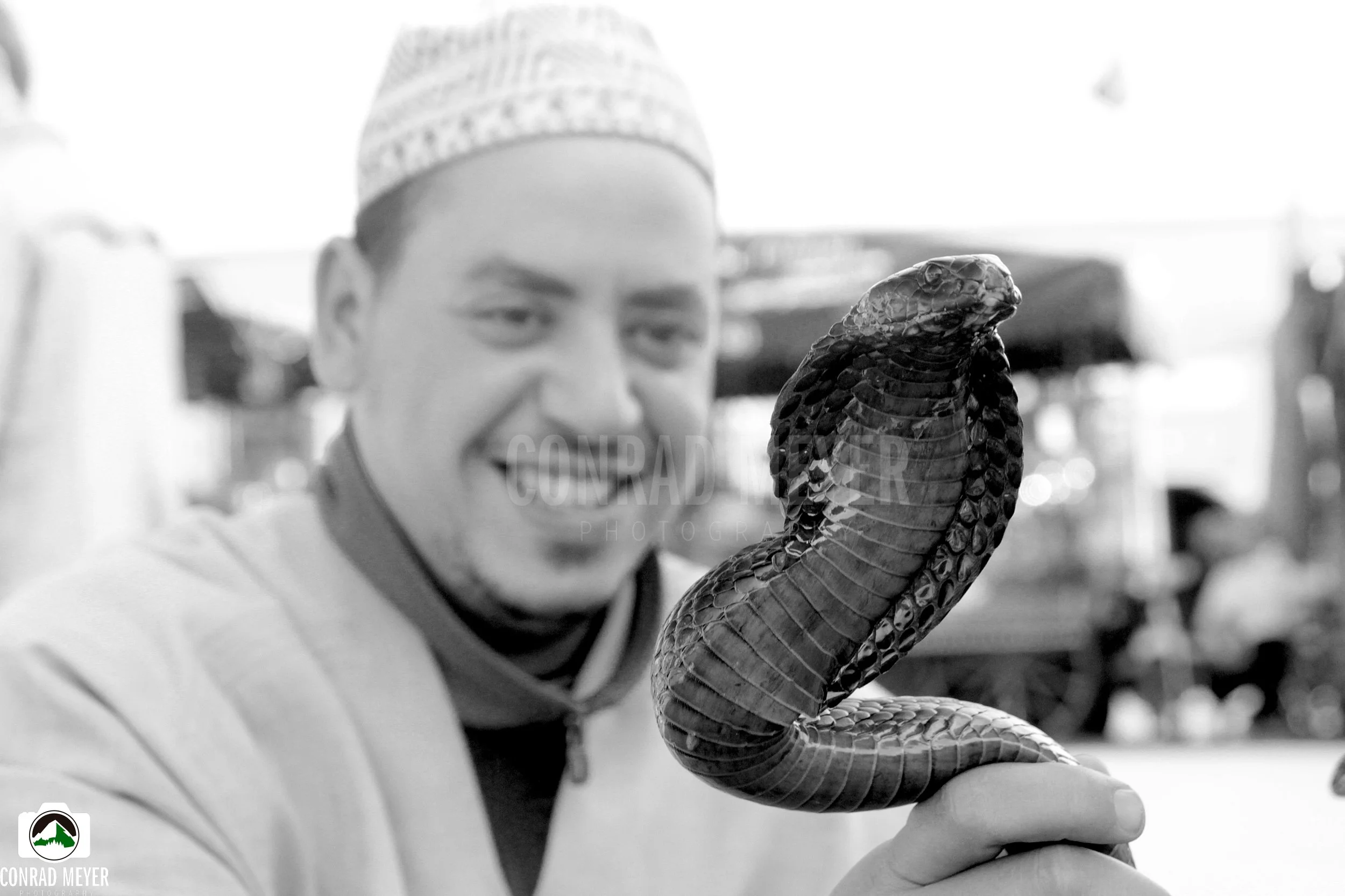 snakeCHARMERcobra.jpg