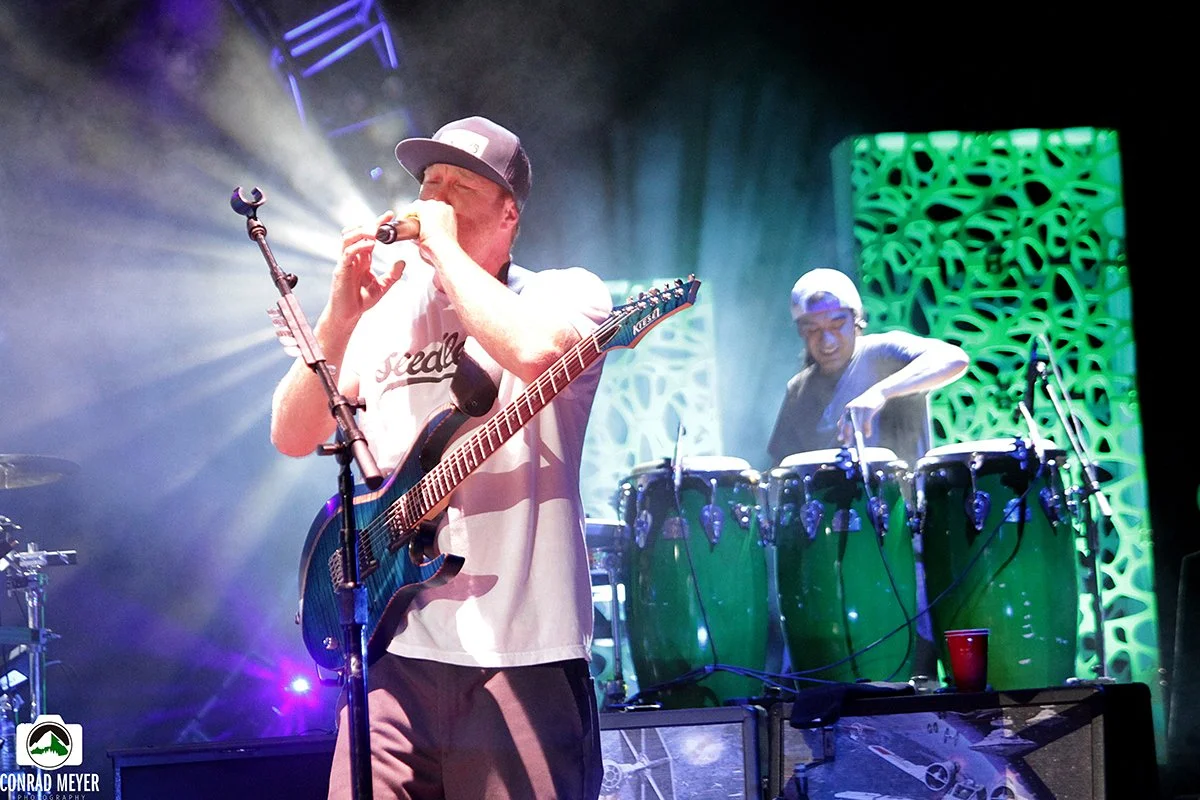 slightlySTOOPID2.jpg