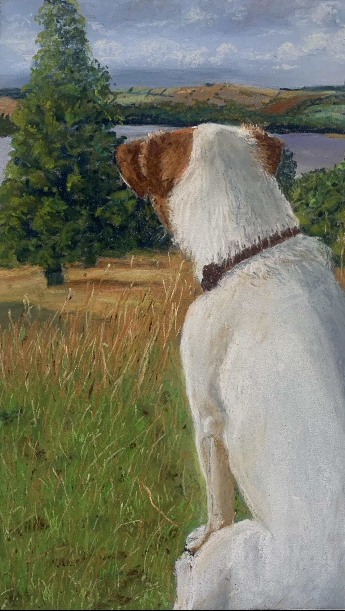 Painting of a white dog with brown patches sitting outdoors in a grassy field, looking at a river and hills in the background under a blue sky with clouds.