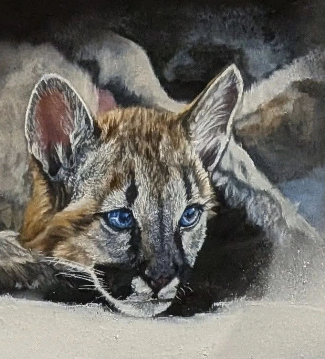A realistic painting of a young lynx lying on the ground with piercing blue eyes, detailed fur, and large ears, surrounded by rocks and shadows.