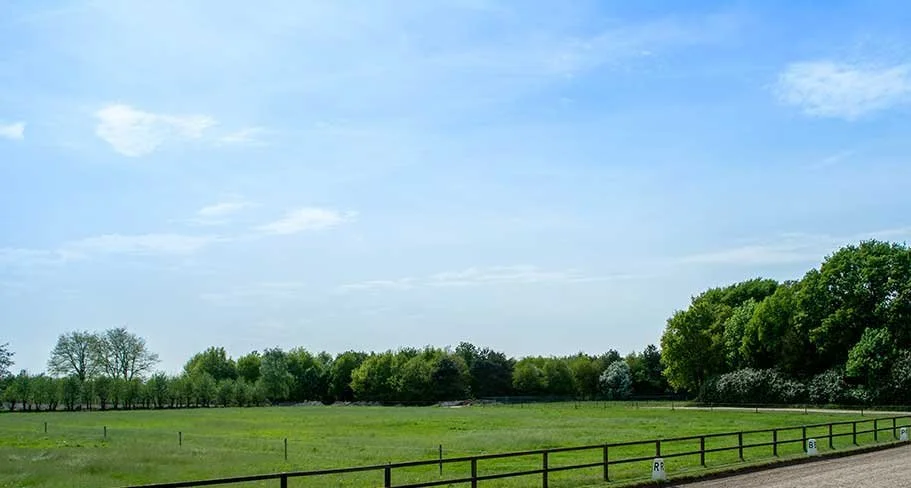 Dressuurstal Oomen buiten wei