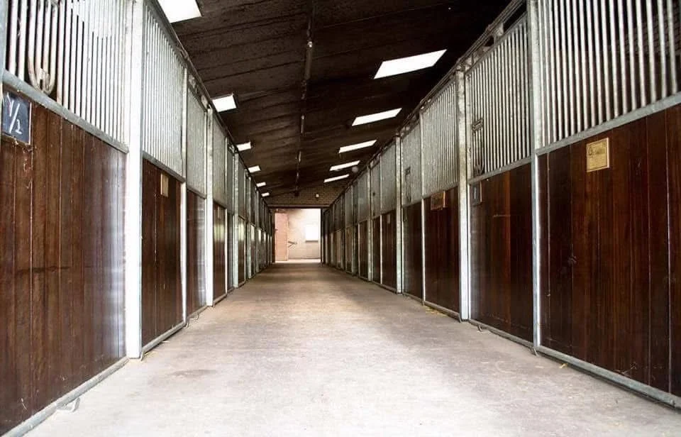 Dressuurstal Oomen stallen