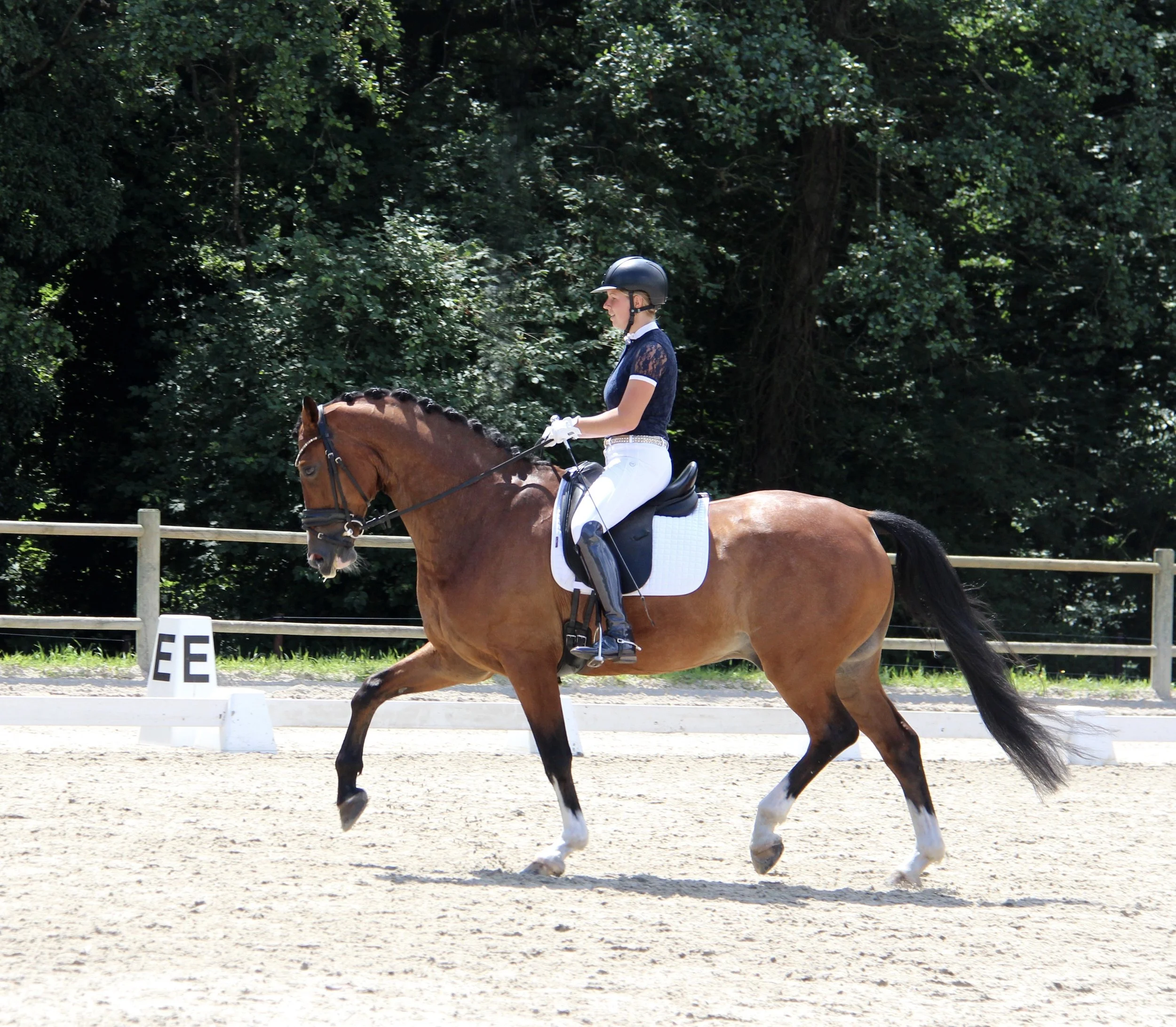 Dressuurstal Oomen wedstrijd