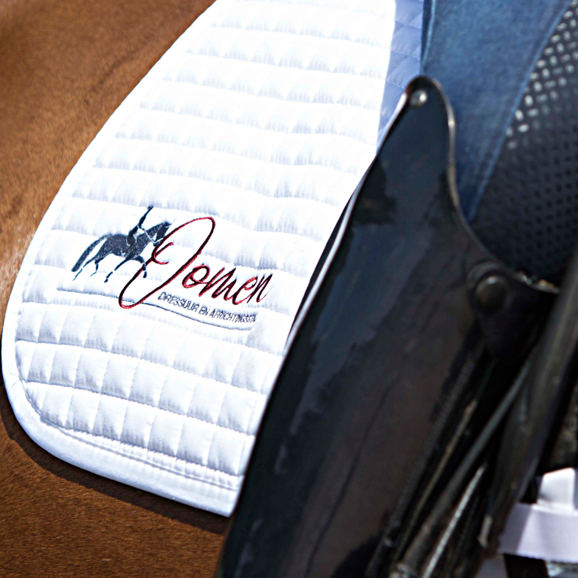 Dressuurstal Oomen dekje