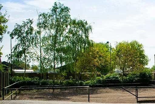 Dressuurstal Oomen paddock