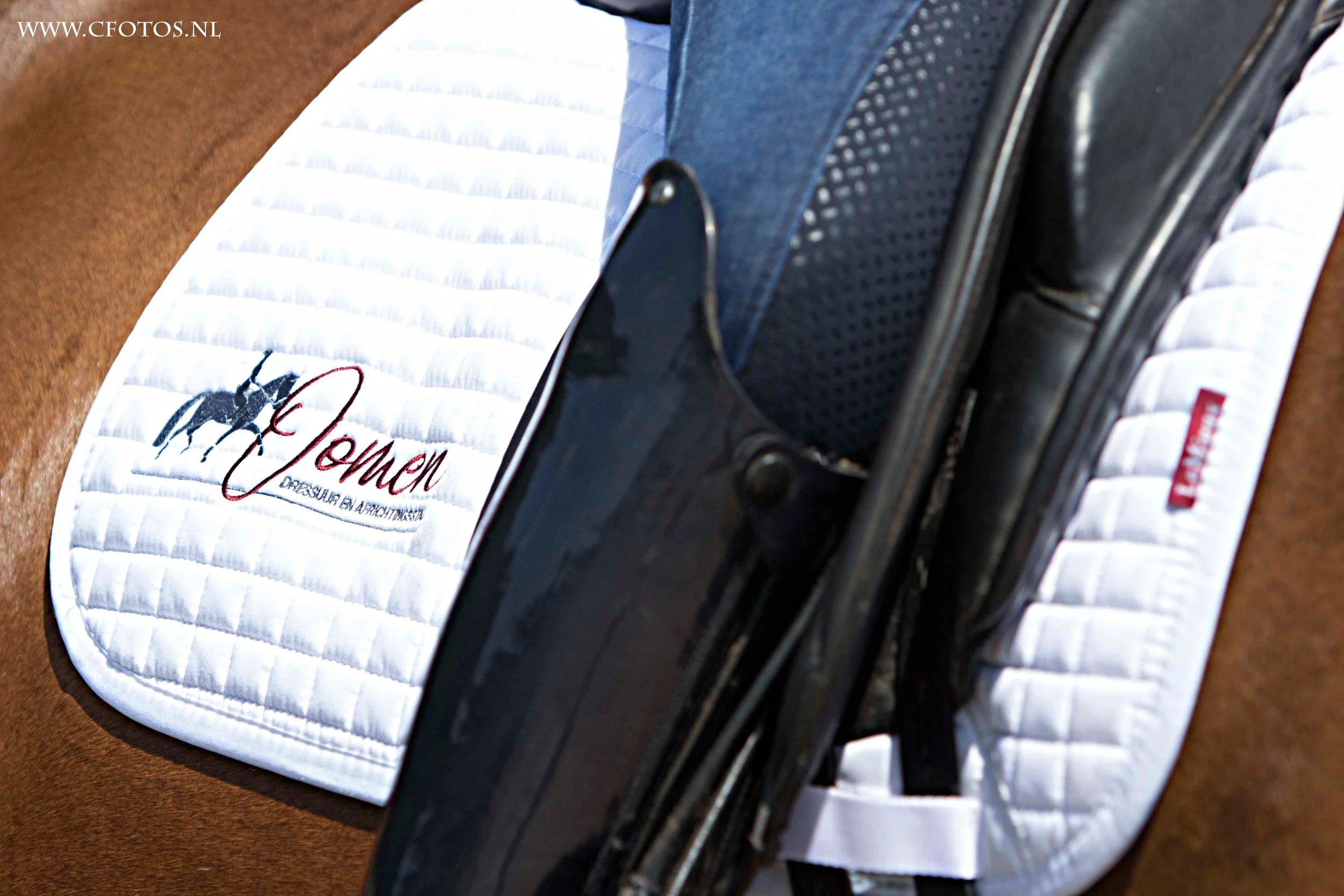 Dressuurstal Oomen dekje