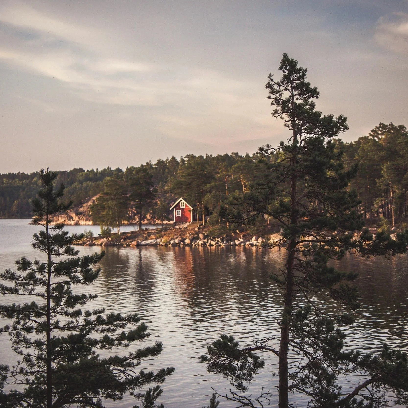 A tranquil lake scene with two pine trees in the foreground, a rocky shoreline, and a red house with white trim in the distance surrounded by dense forest.
