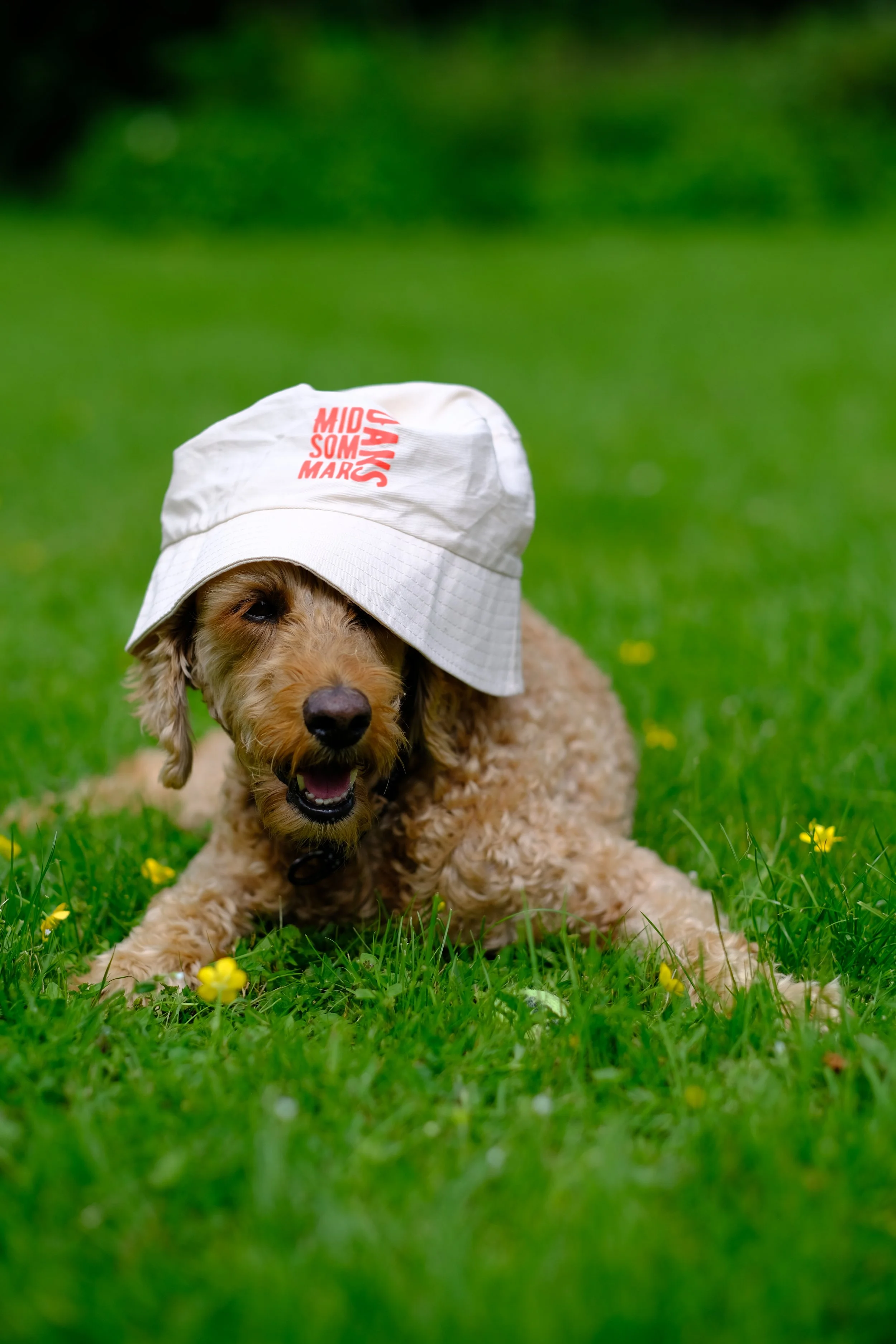 Midsommardans Bucket Hat