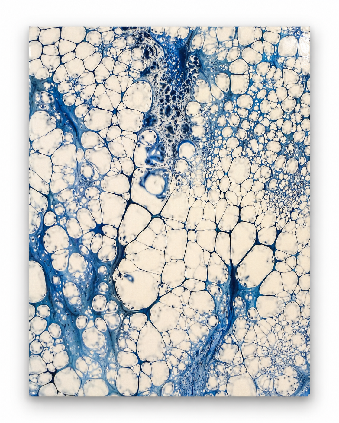 EE956FB0-002B-4979-9917-CCEC02A4F27C.png