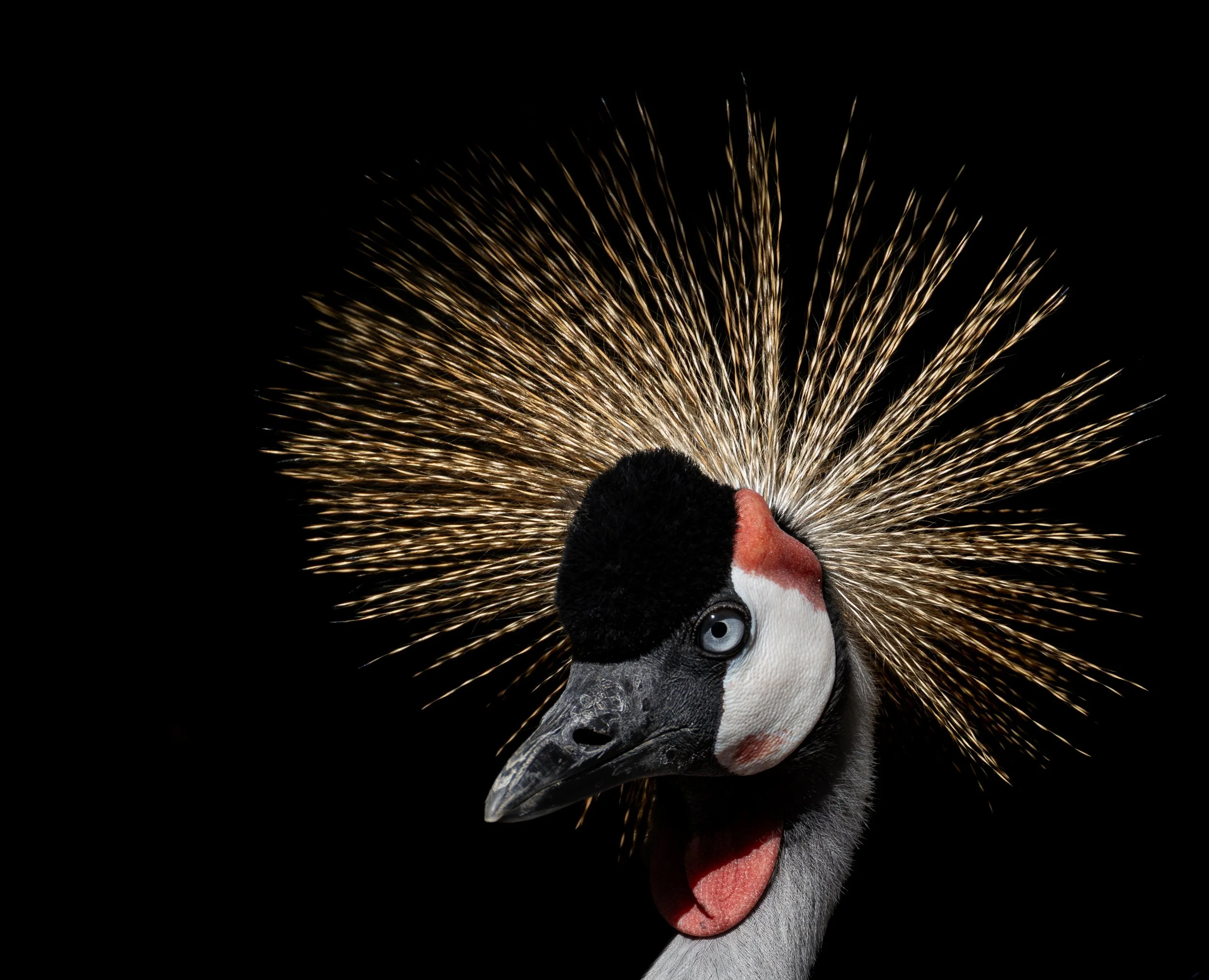 H38A5540.1.jpg