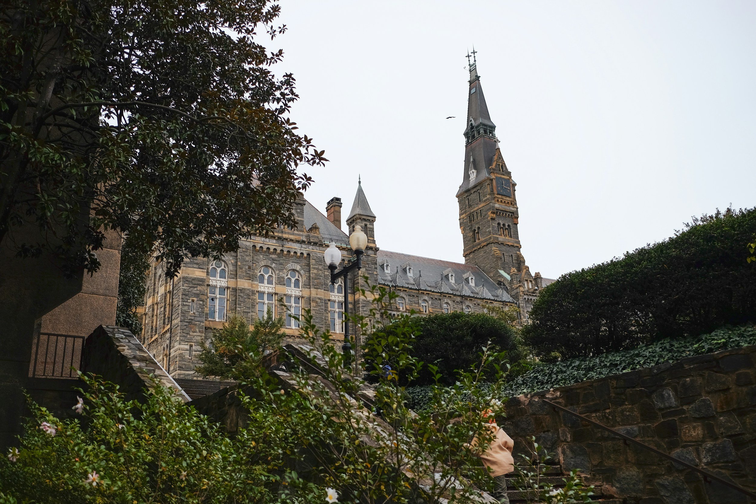 Why I Went to Georgetown to Build a Wellness Company