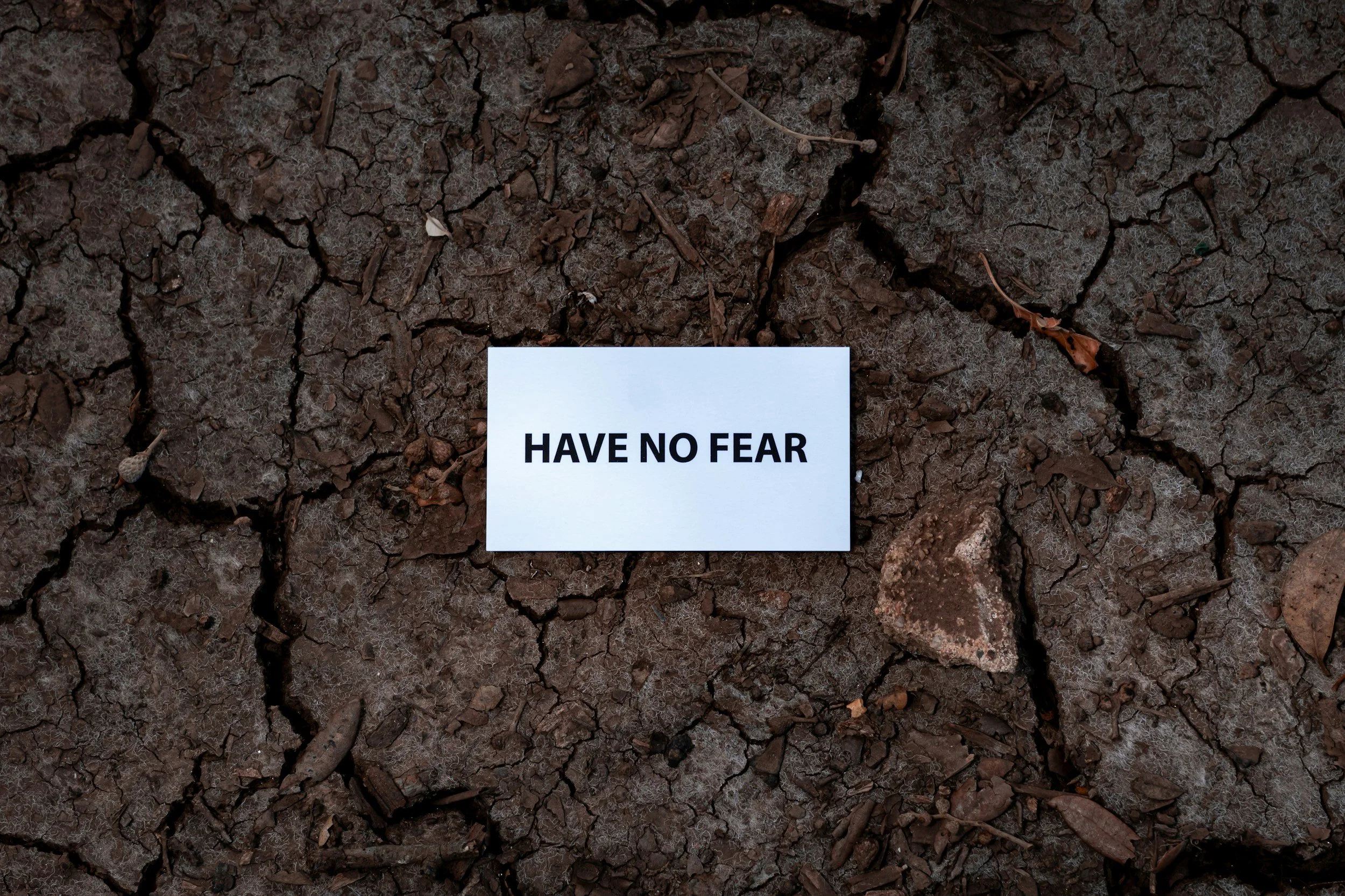 Start Scared. Start Nervous. But Start.