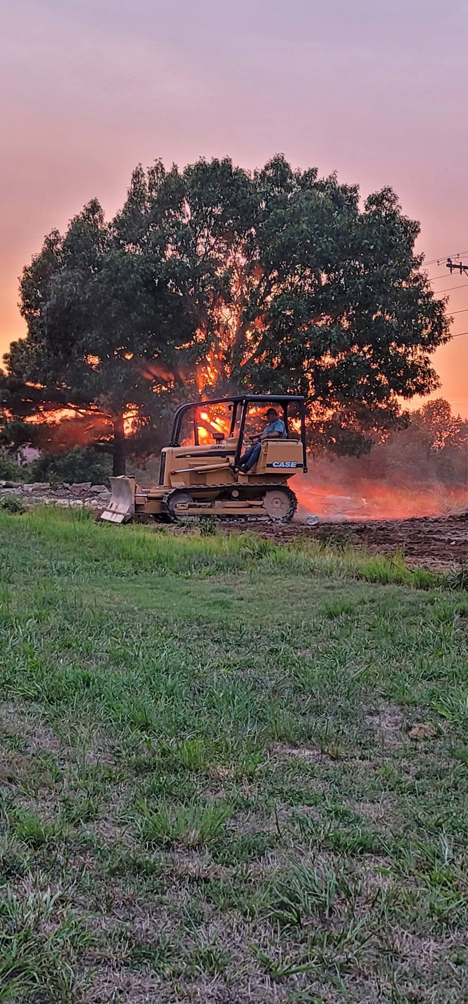 A construction worker operating a small bulldozer on a grassy area at sunset, with a large tree and power lines in the background.