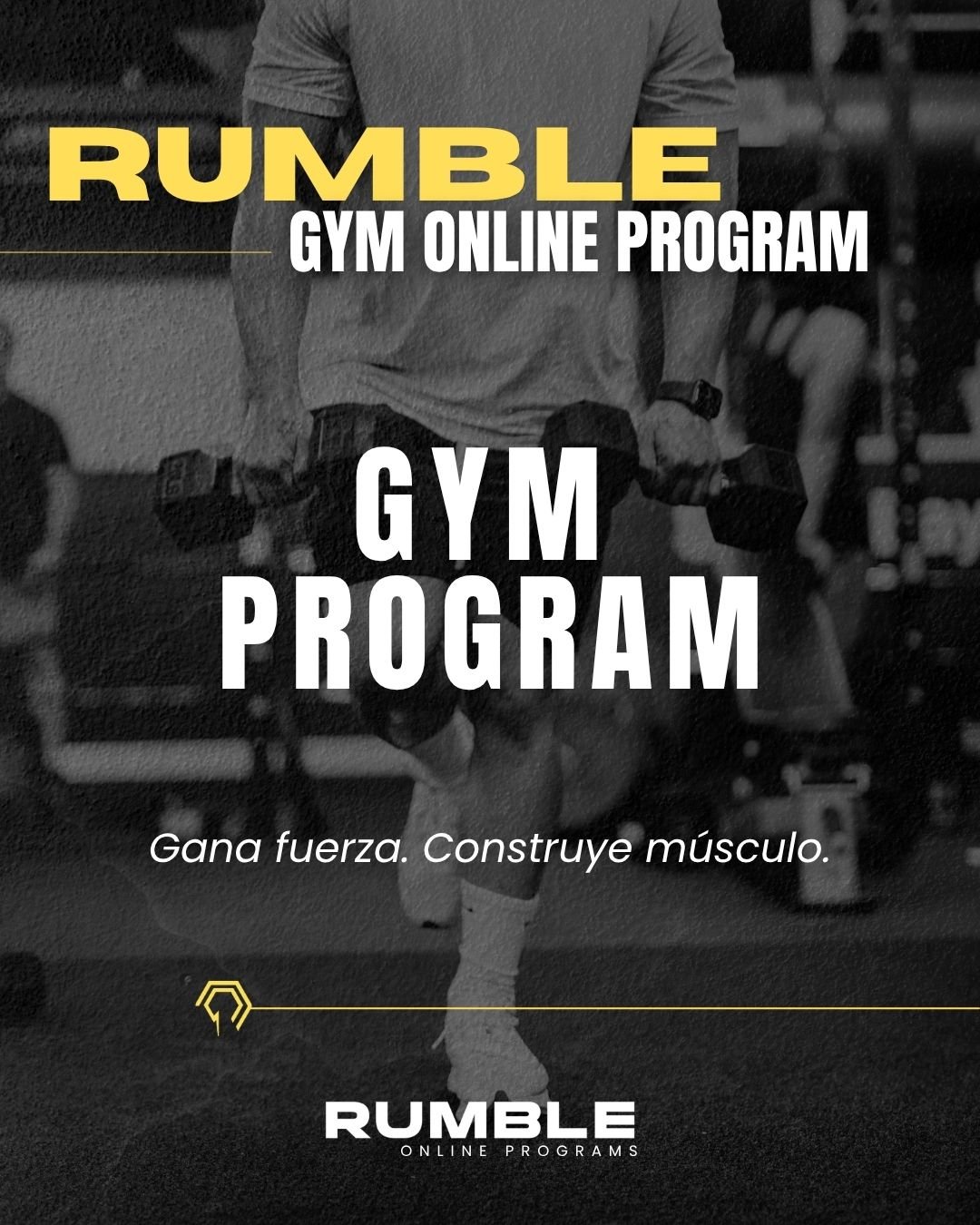 GYM PROGRAM