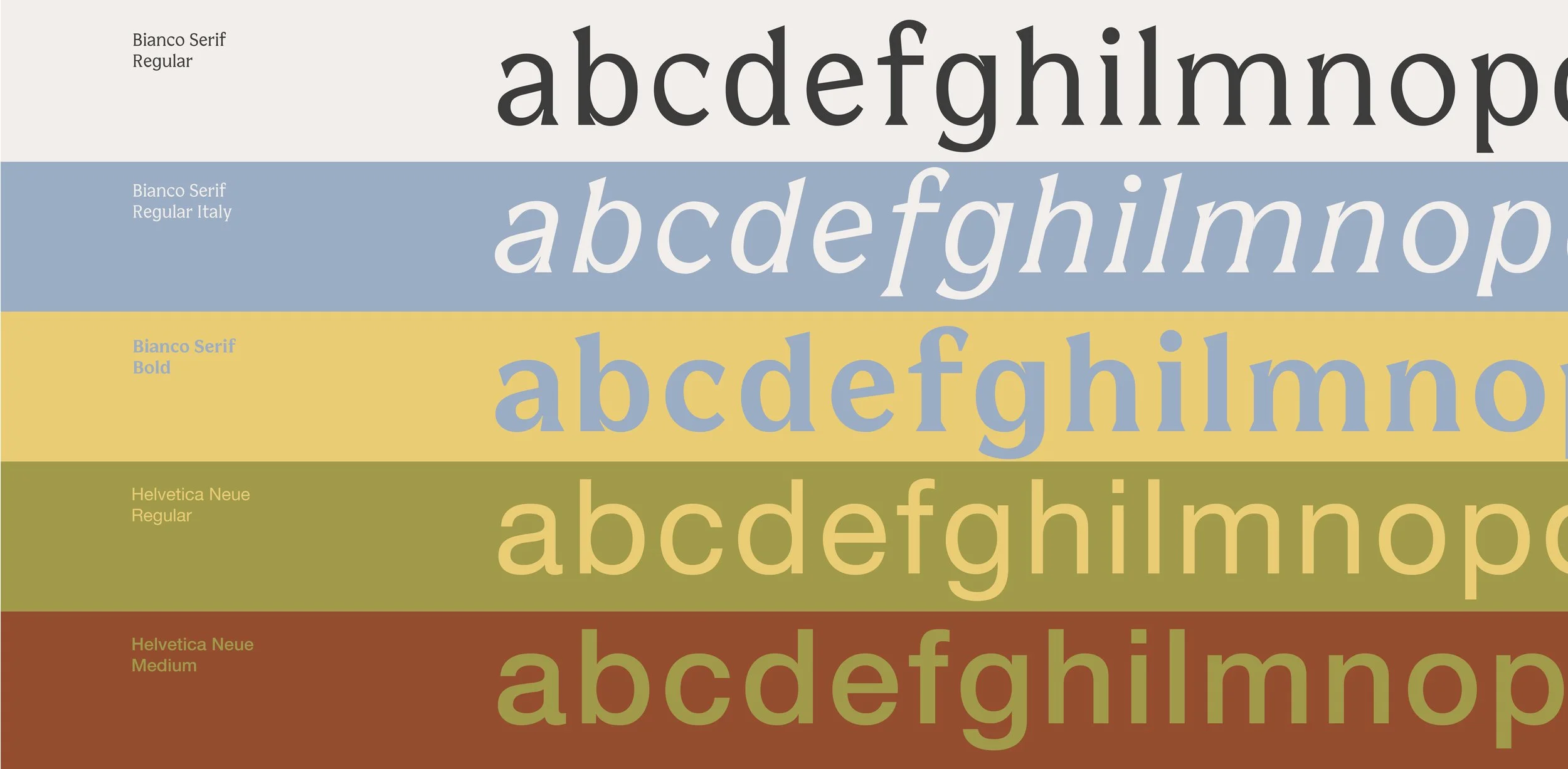 Carattere tipografico con variazioni di dimensione, peso e palette colori per progetto di brand identity.