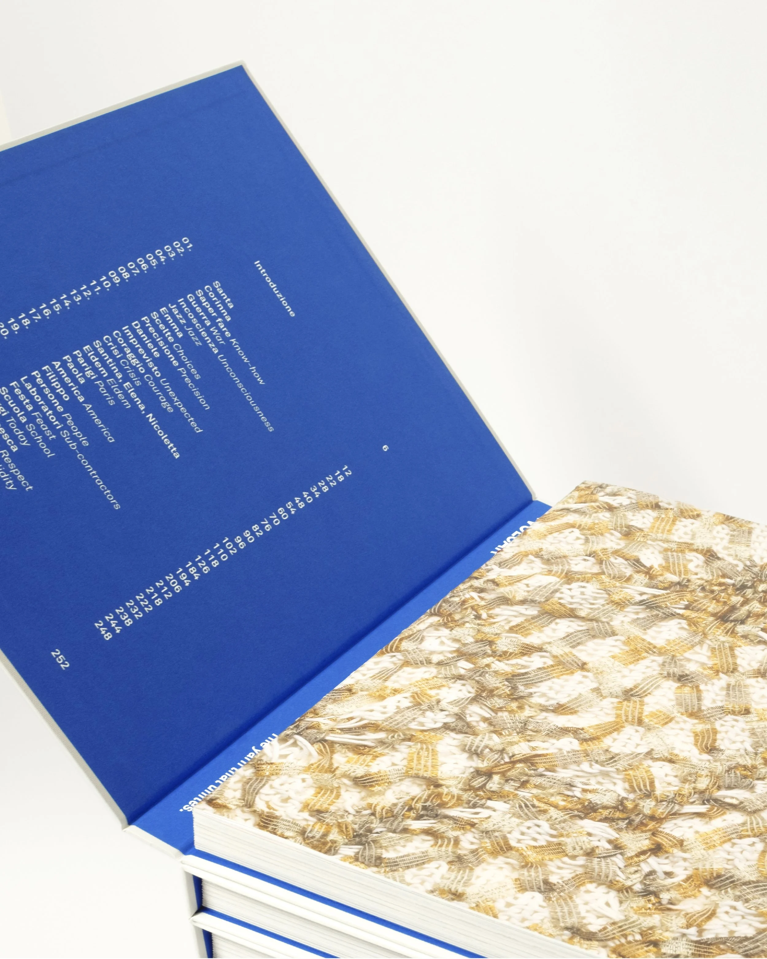 Un libro aperto con interno di copertina blu e pagine con testo e immagini. Grafica minimal e tipografia bianca su sfondo blu.