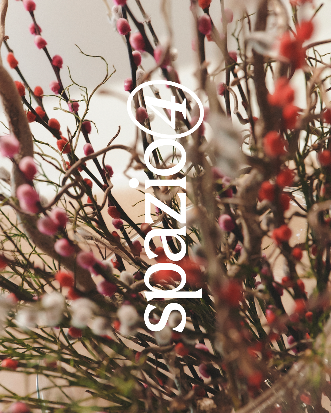 Logo design 'spazio4' con foto di fiori colorati nello sfondo