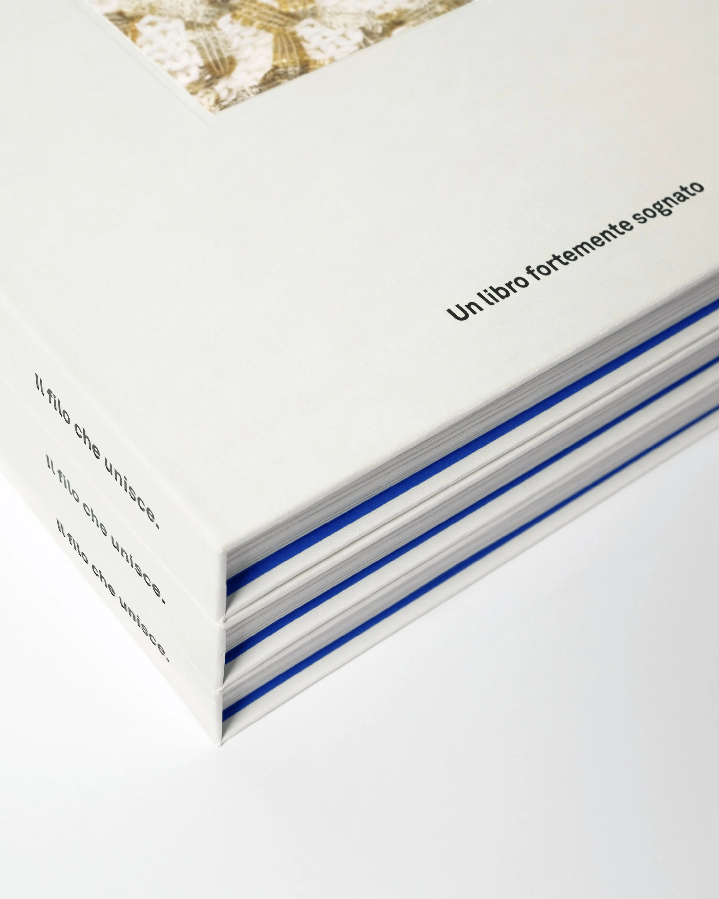 Libro con copertina bianca, titolo in italiano: "Un libro fortemente sognato".