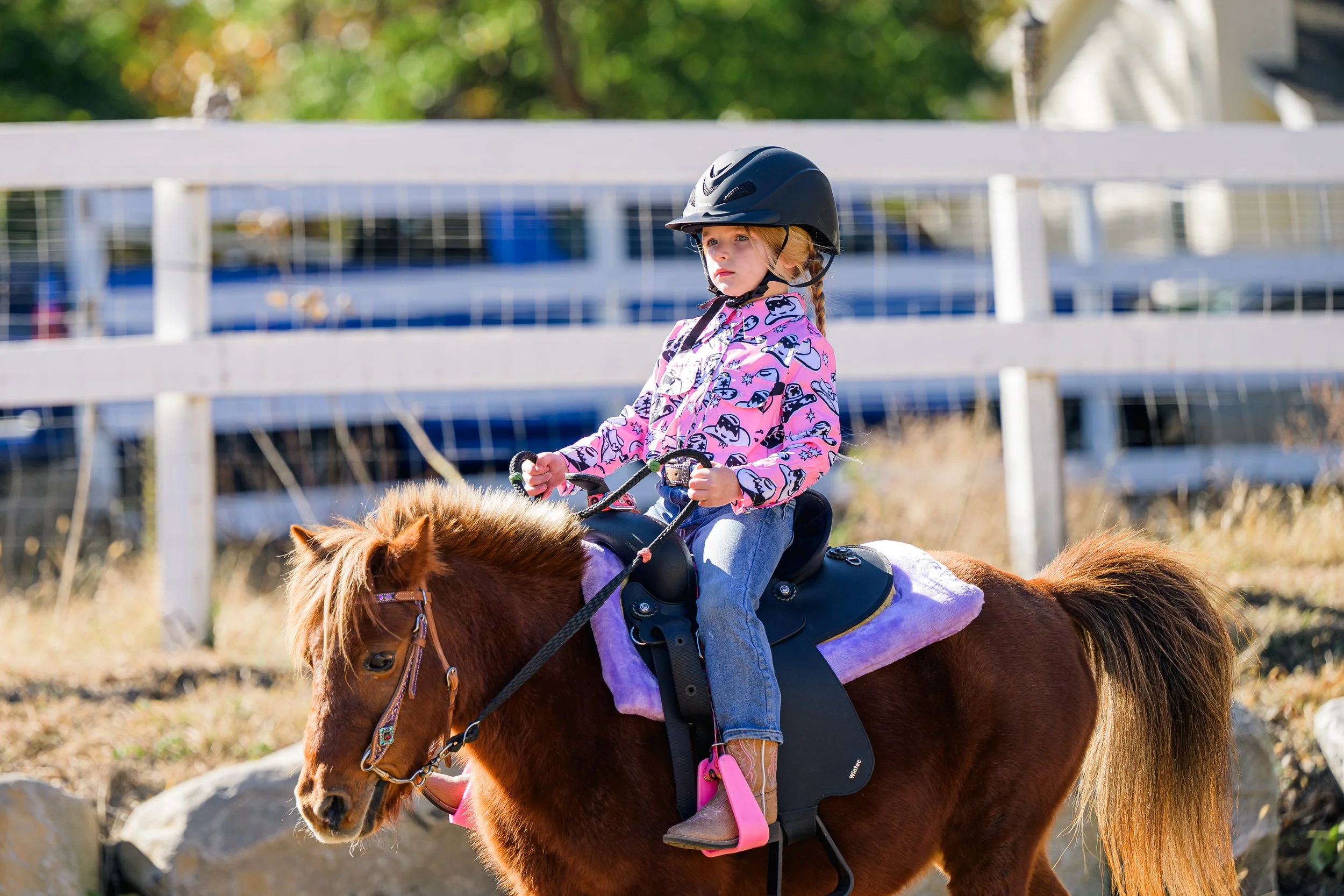 horse event photo long island