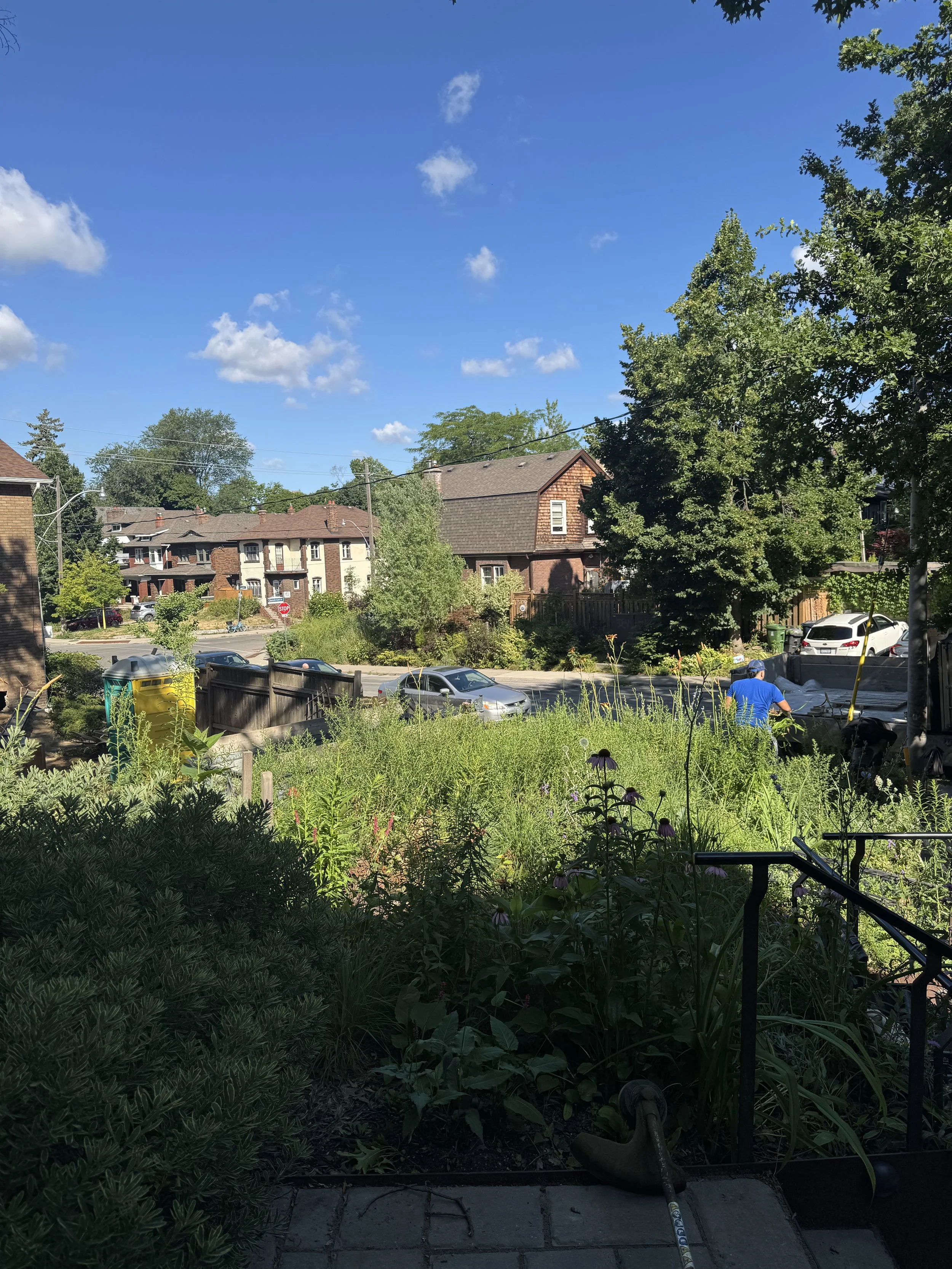 A view from a porch or garden looking out onto a street with parked cars, houses, and trees under a blue sky with some clouds. A person in a blue shirt is working in a garden bed near the street.