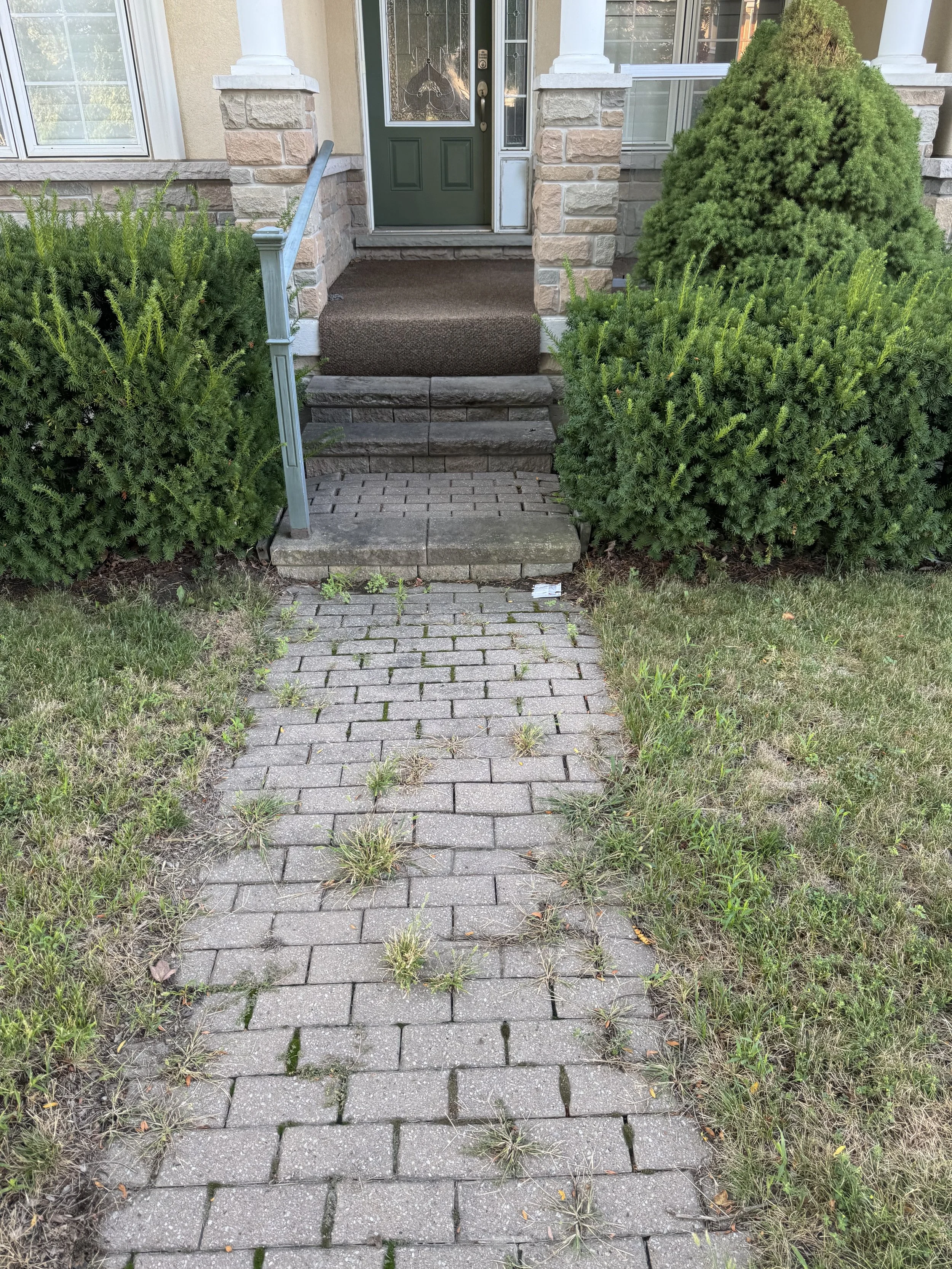 Brick pathway leading to front door of house, with weeds growing between the bricks, flanked by two bushes and a green handrail on the left side.