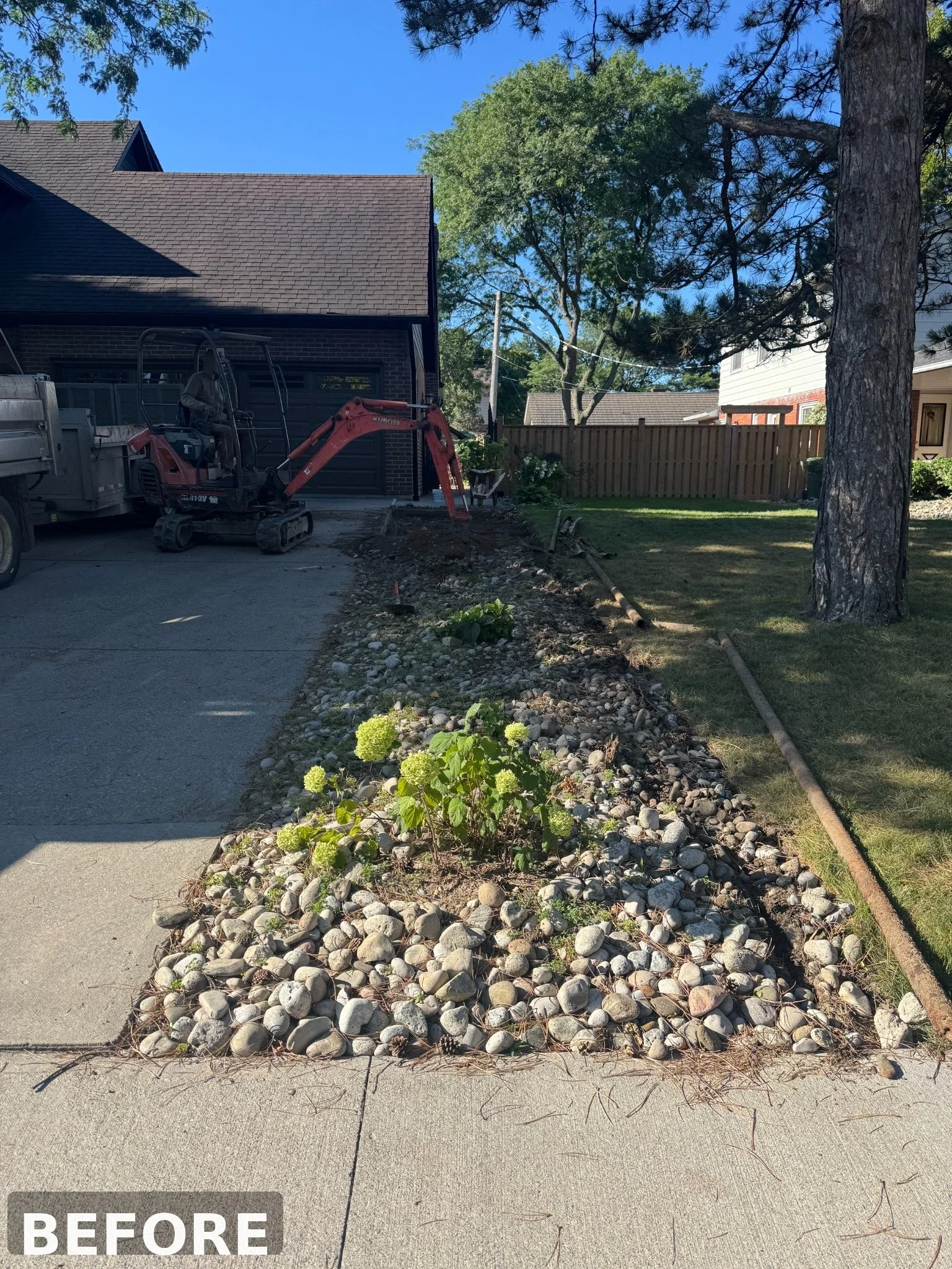 A front yard with a flower bed filled with rocks and plants, next to a sidewalk and driveway, with a large tree and a house in the background. A mini excavator and a truck are present, indicating ongoing landscaping work.