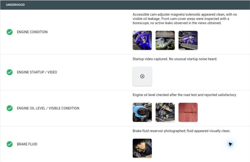 Anonymized EuroTech Mobile PPI report excerpt with accessible engine checks, startup observations, oil-level findings and brake-fluid photos.