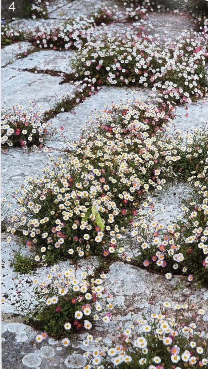 06 | Humans are not machines