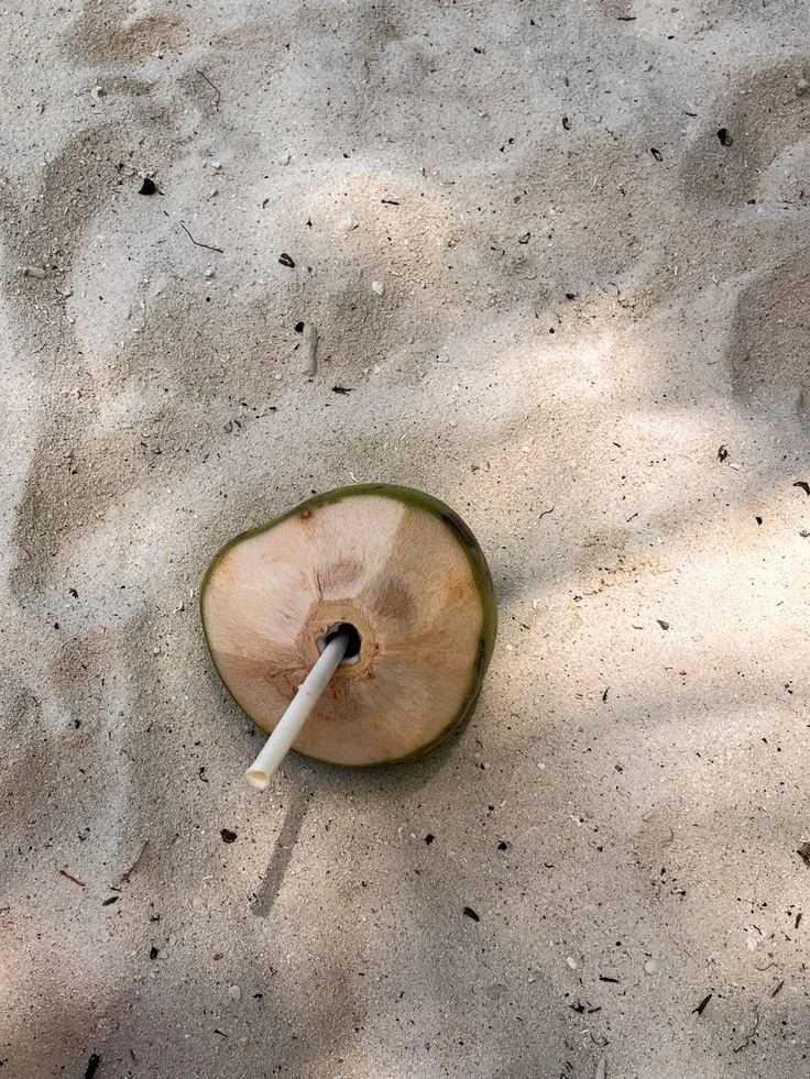 13 | Nature restores coherence