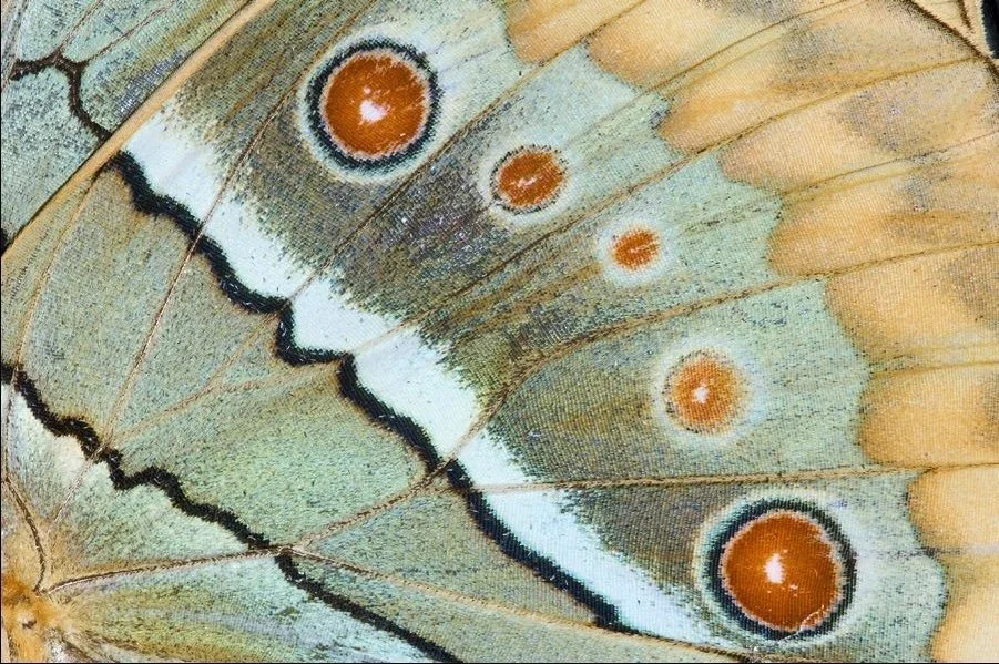 Beauty is the receipt, not the goal