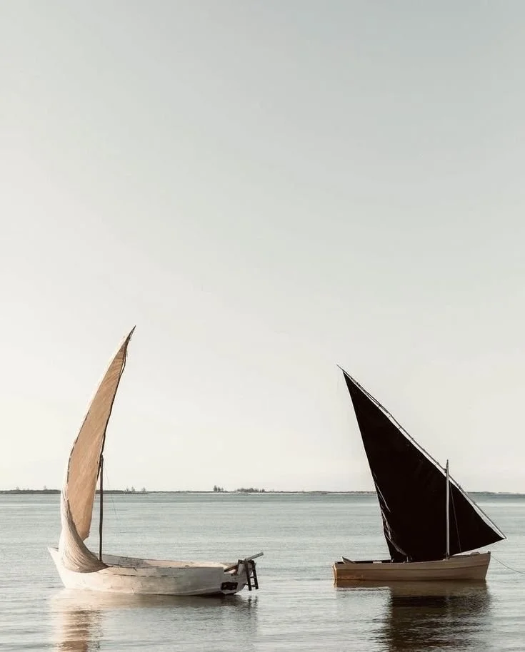 Catching the wind: how purpose directs a life