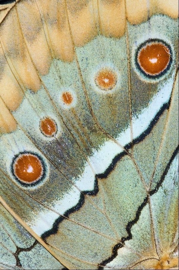 Beauty is the receipt, not the goal