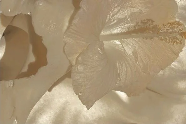 Scent is an invisible environment