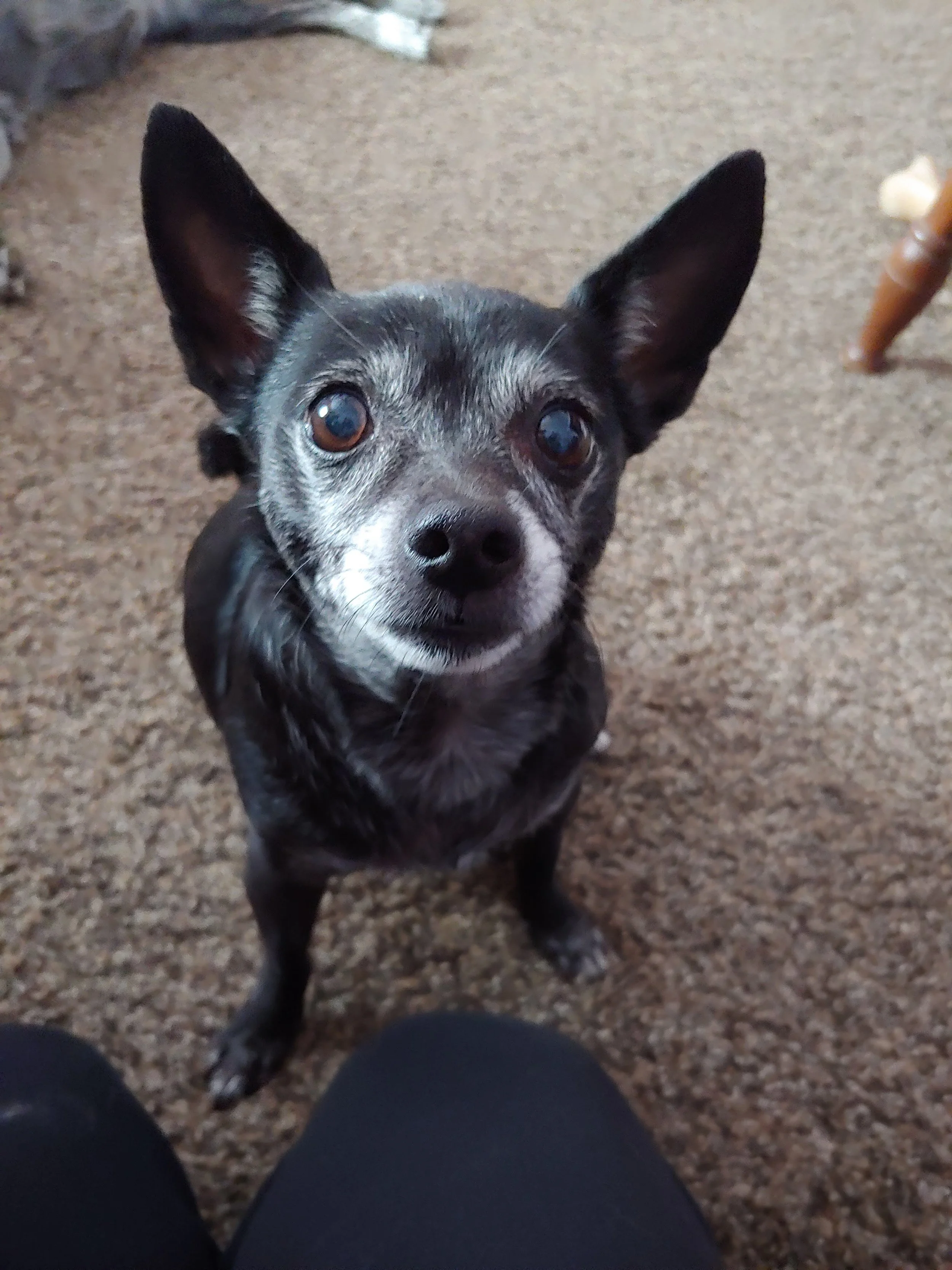 My Name Was Tiki — And I Had The Best Sister In The World