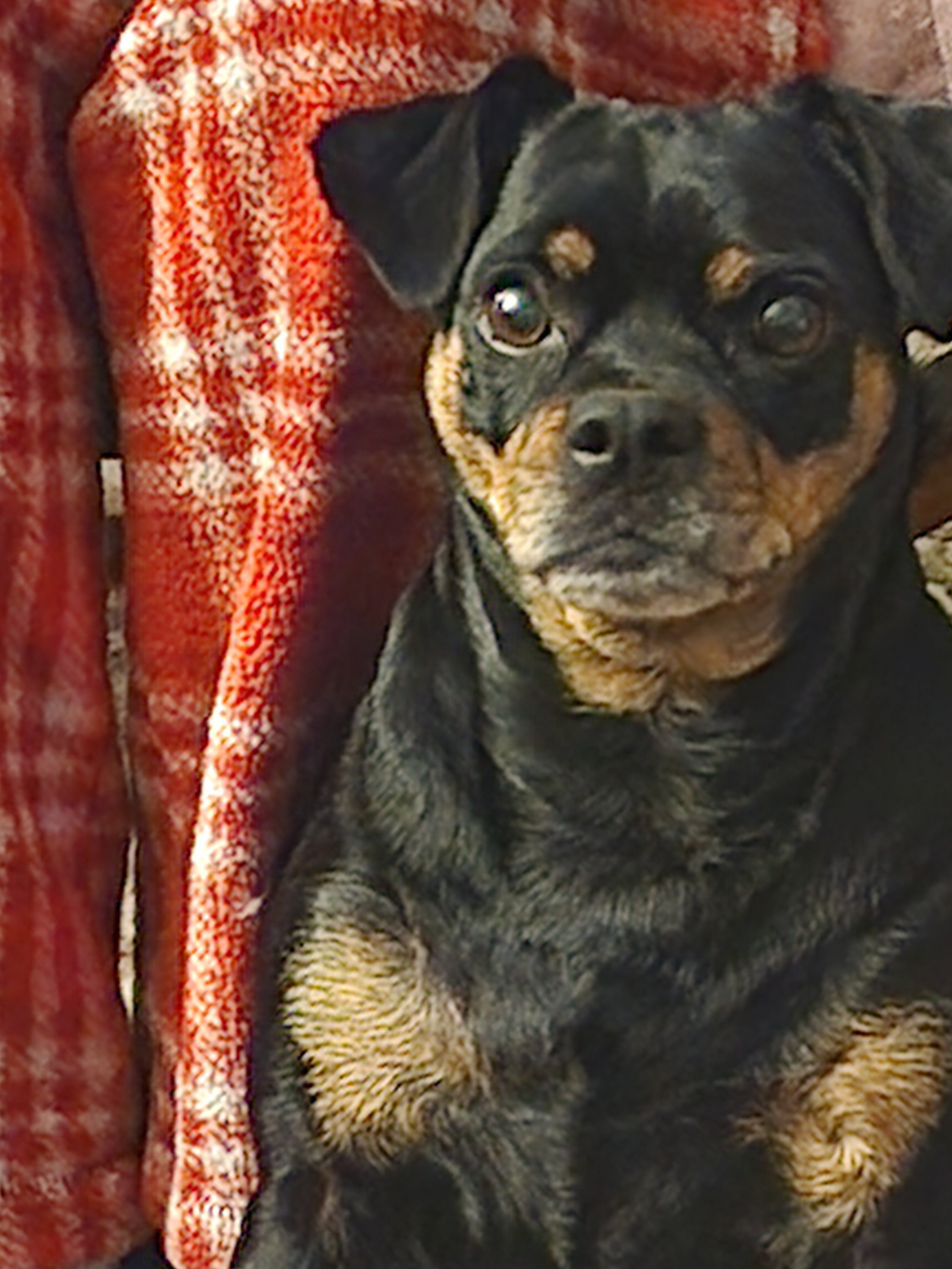 My Name Is Lilly — And  My Forever Family Found Me