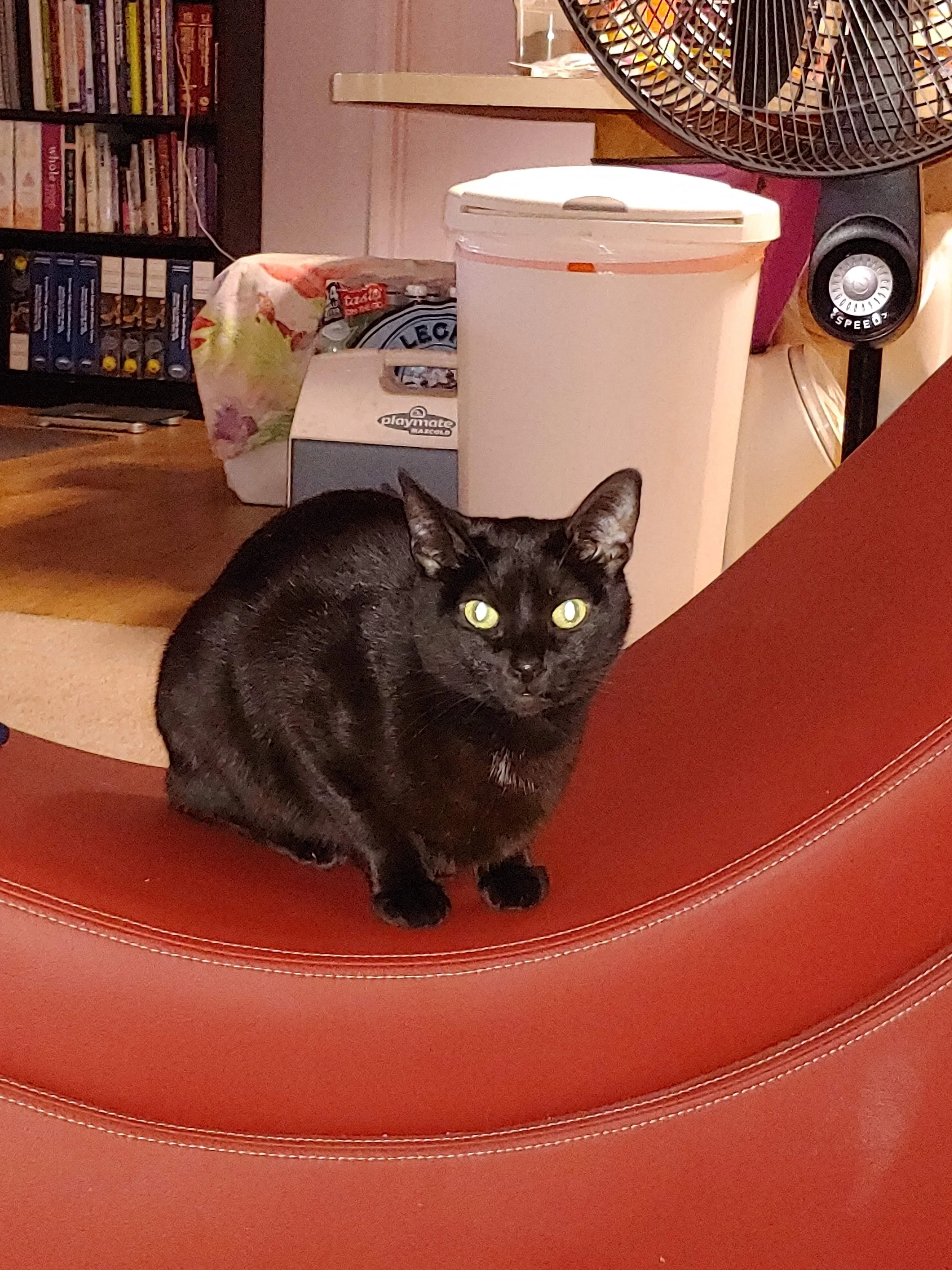 My Name is Ebony - And I Almost Got Left Behind