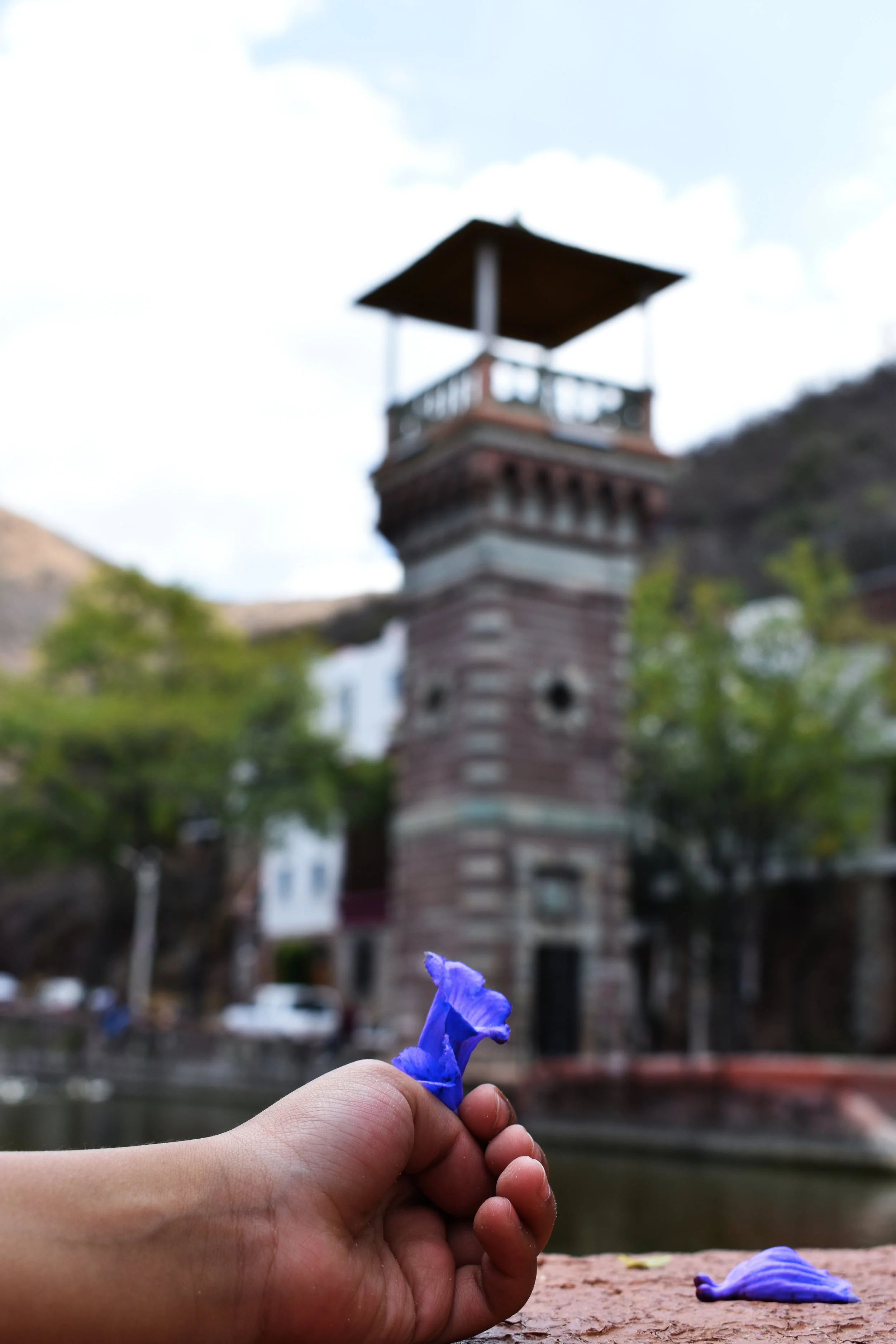 Mano sosteniendo una flor azul con un vista borrosa de un puente y árboles al fondo.