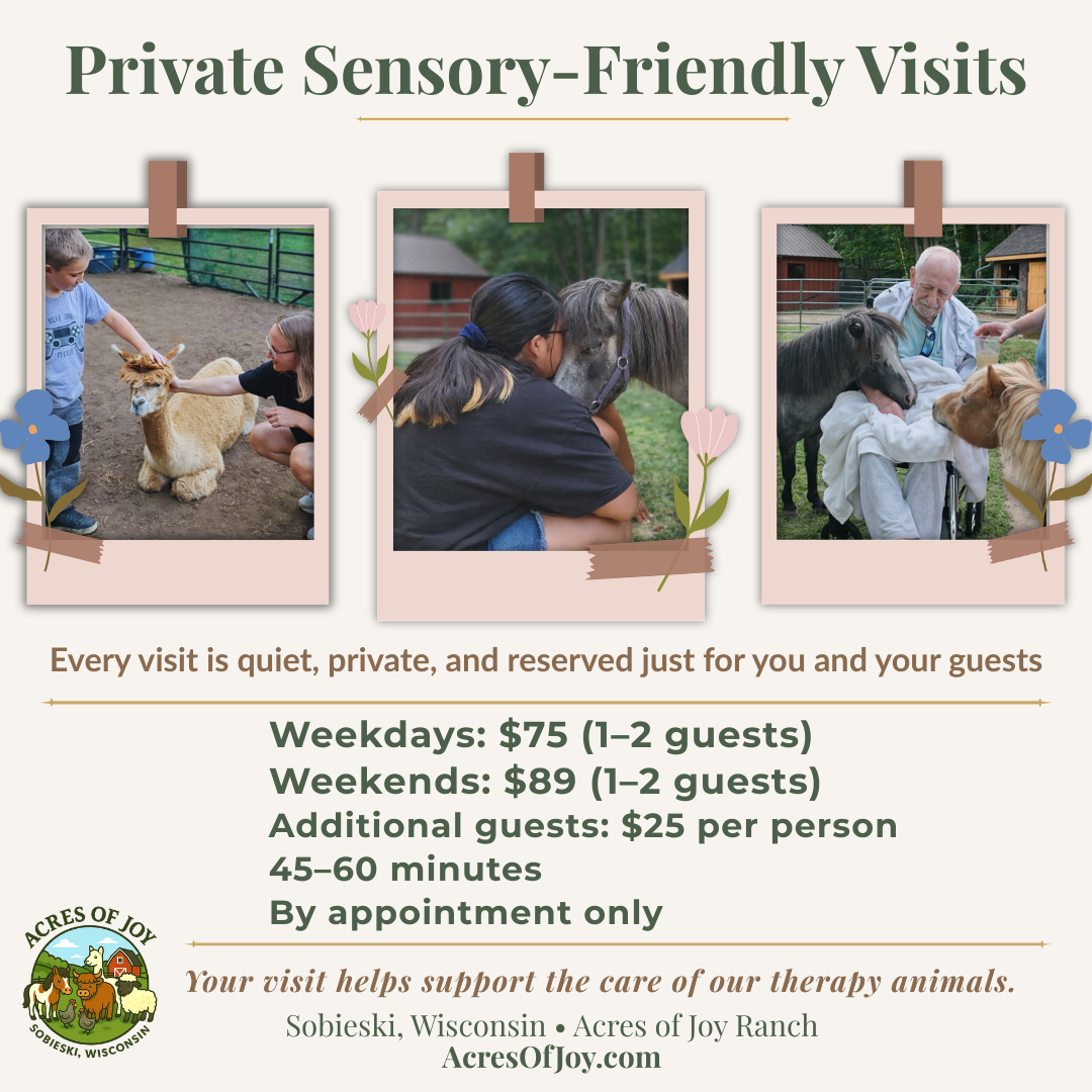 Private sensory-friendly animal experiences near Green Bay, Wisconsin. Acres of Joy Ranch offers calm, appointment-only visits with miniature horses, alpacas, sheep, and Highland cattle.