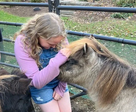 A girl petting a small horse at a petting farm