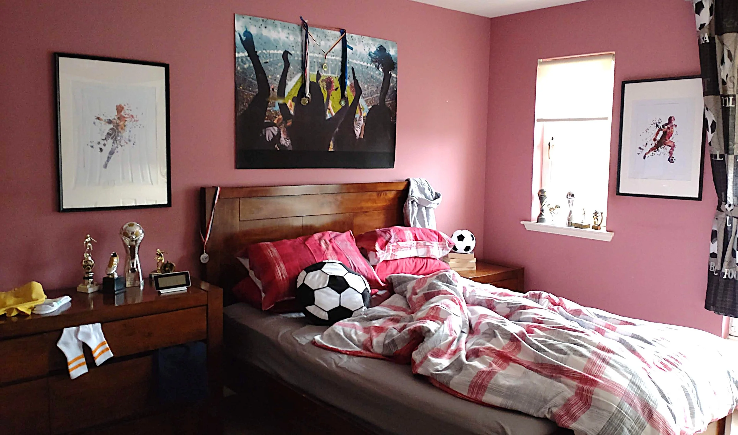Dog Squad S1 Ryannes bedroom 1.JPG