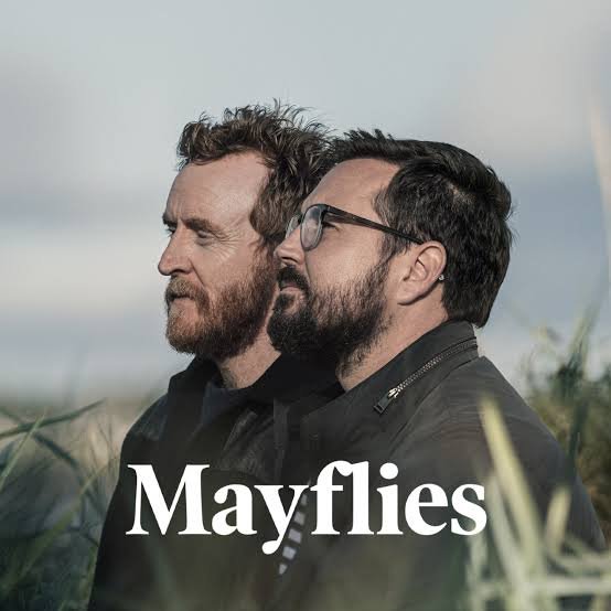 Mayflies.jpg
