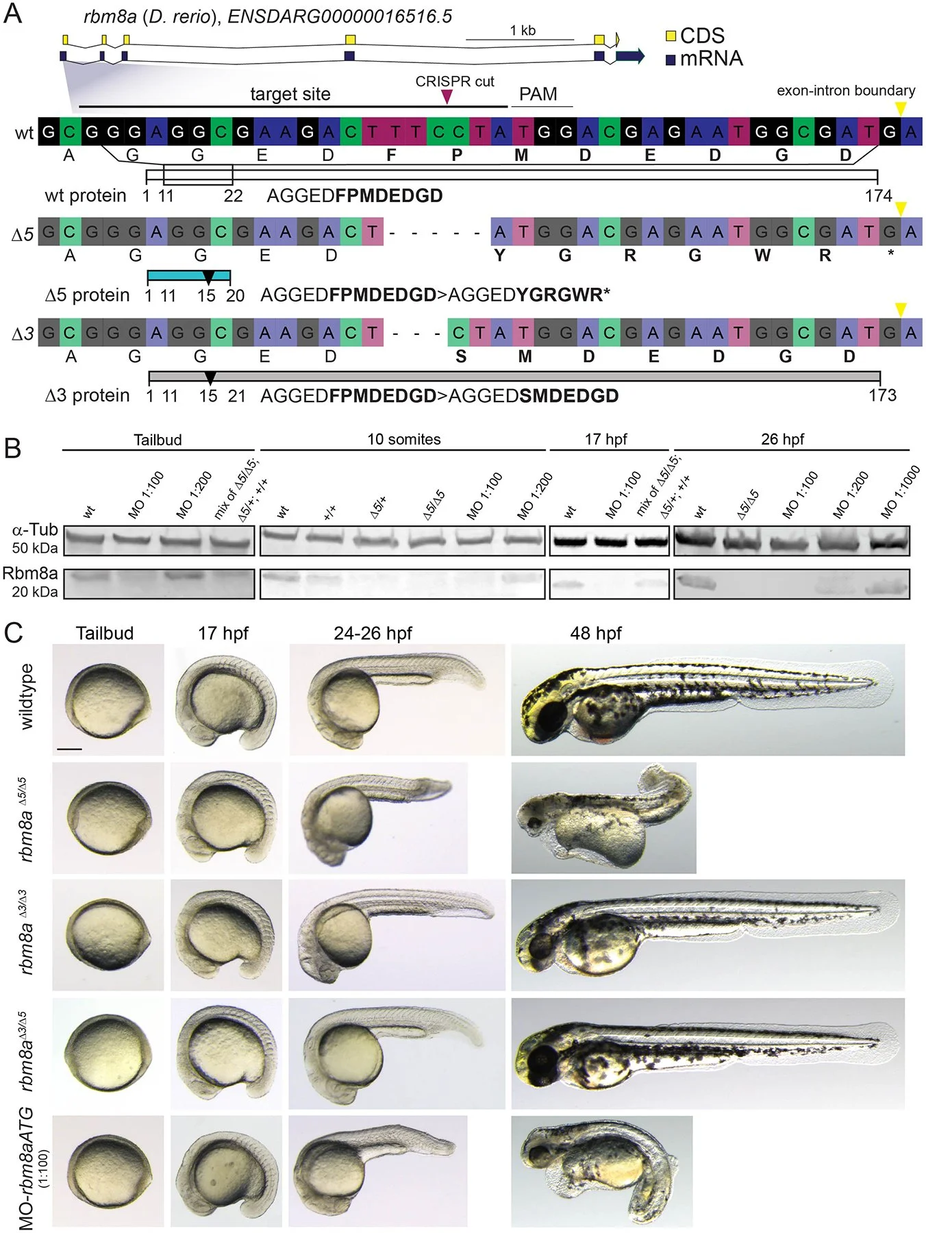 University of Colorado Research