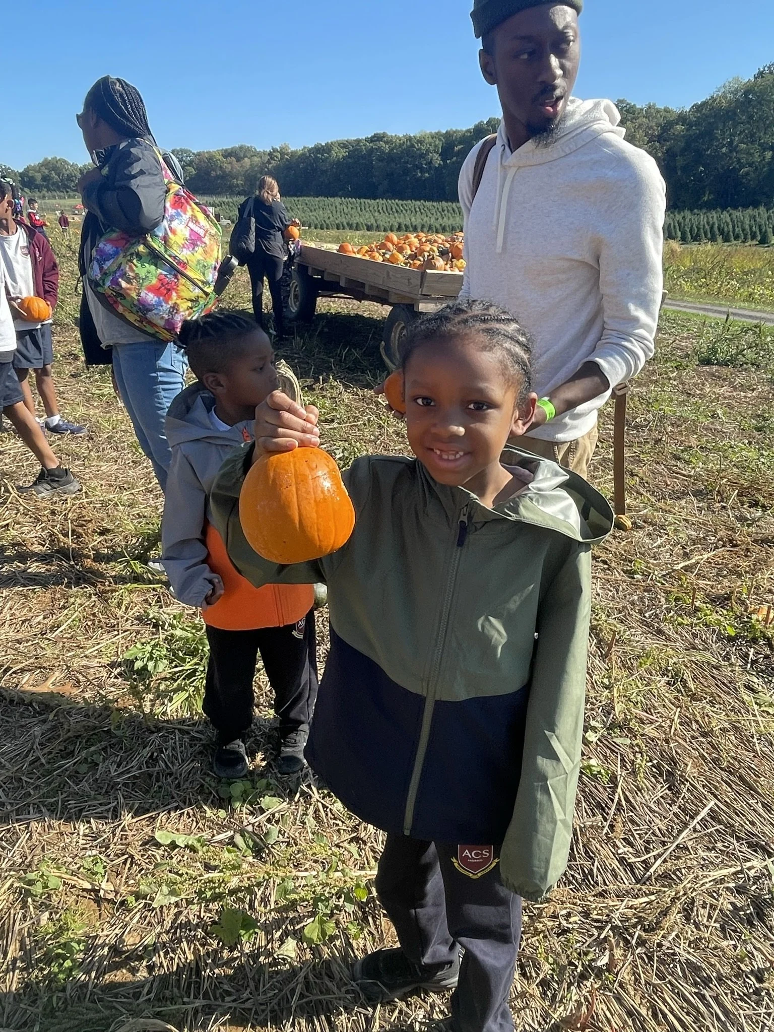 A young girl holding a small pumpkin at a pumpkin patch on a sunny day, with other children and adults in the background, and a wagon filled with pumpkins.