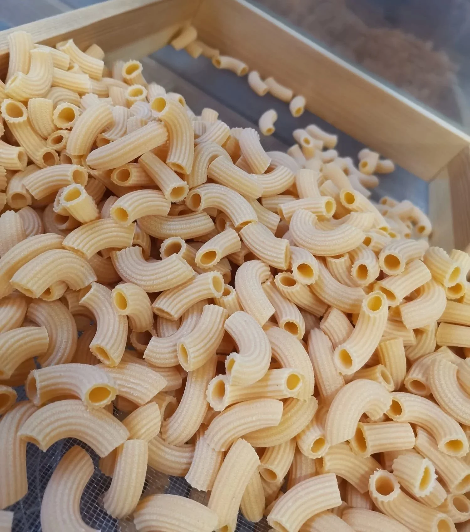 Vegetable pasta production