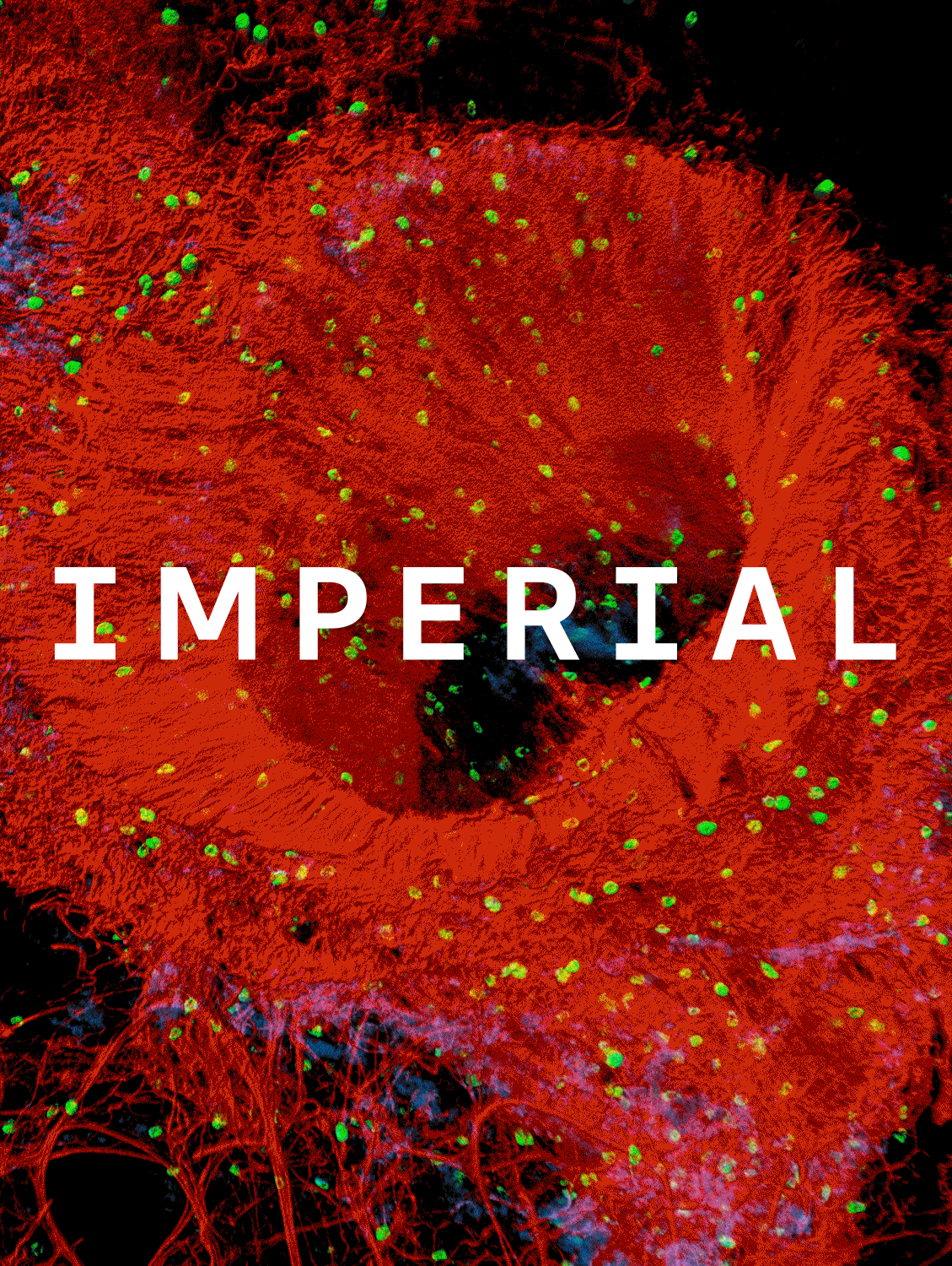 Imperial Annual Report
