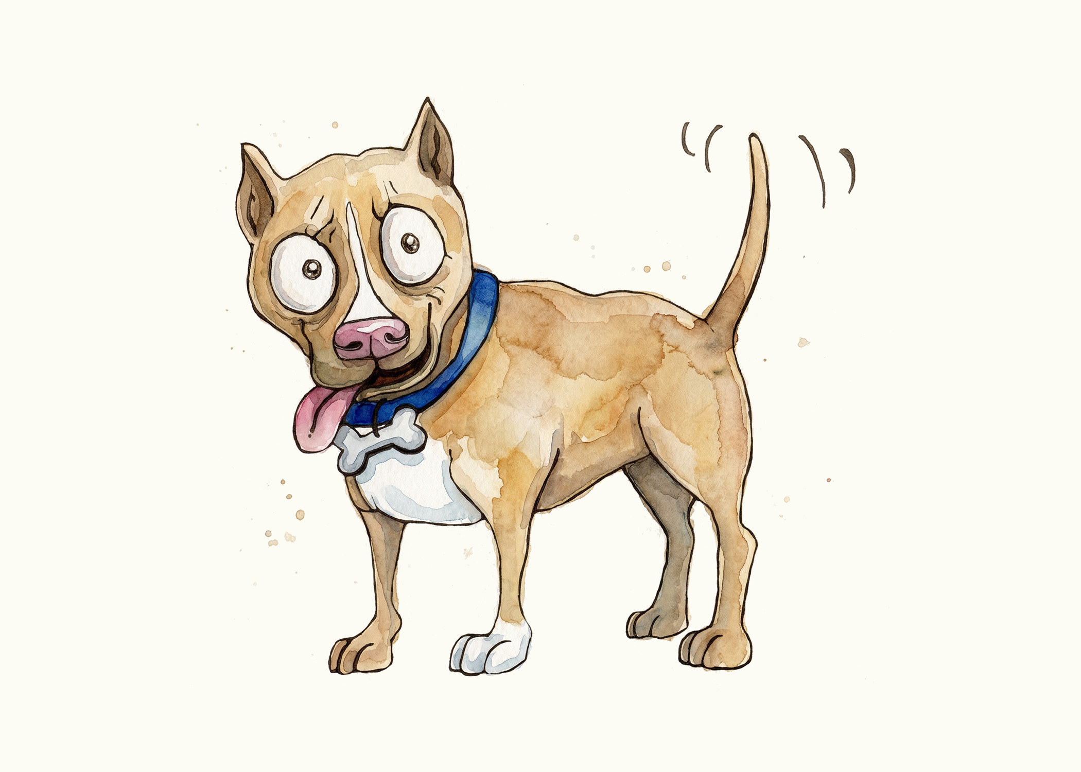 American Pit Bull