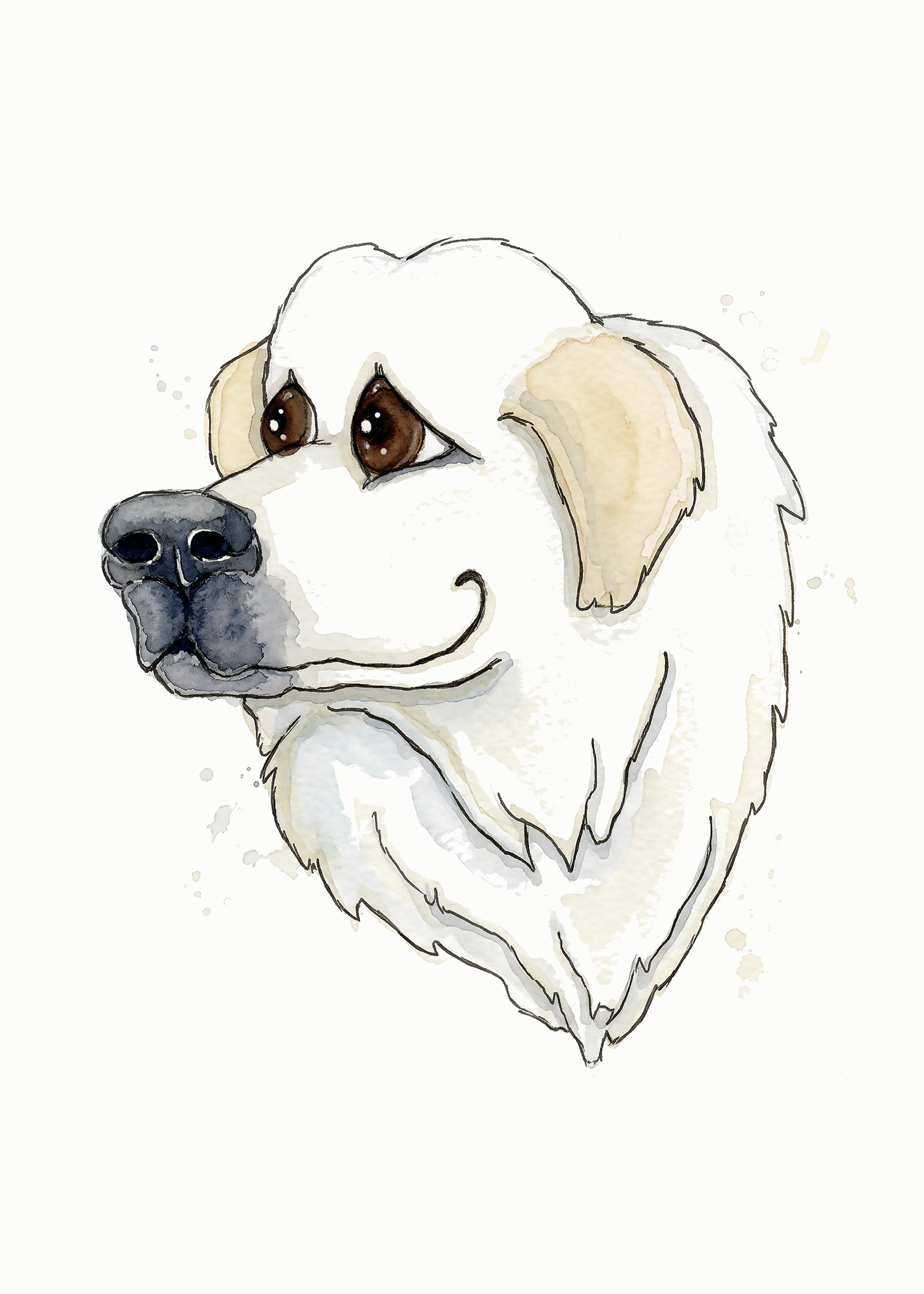 Great Pyrenees